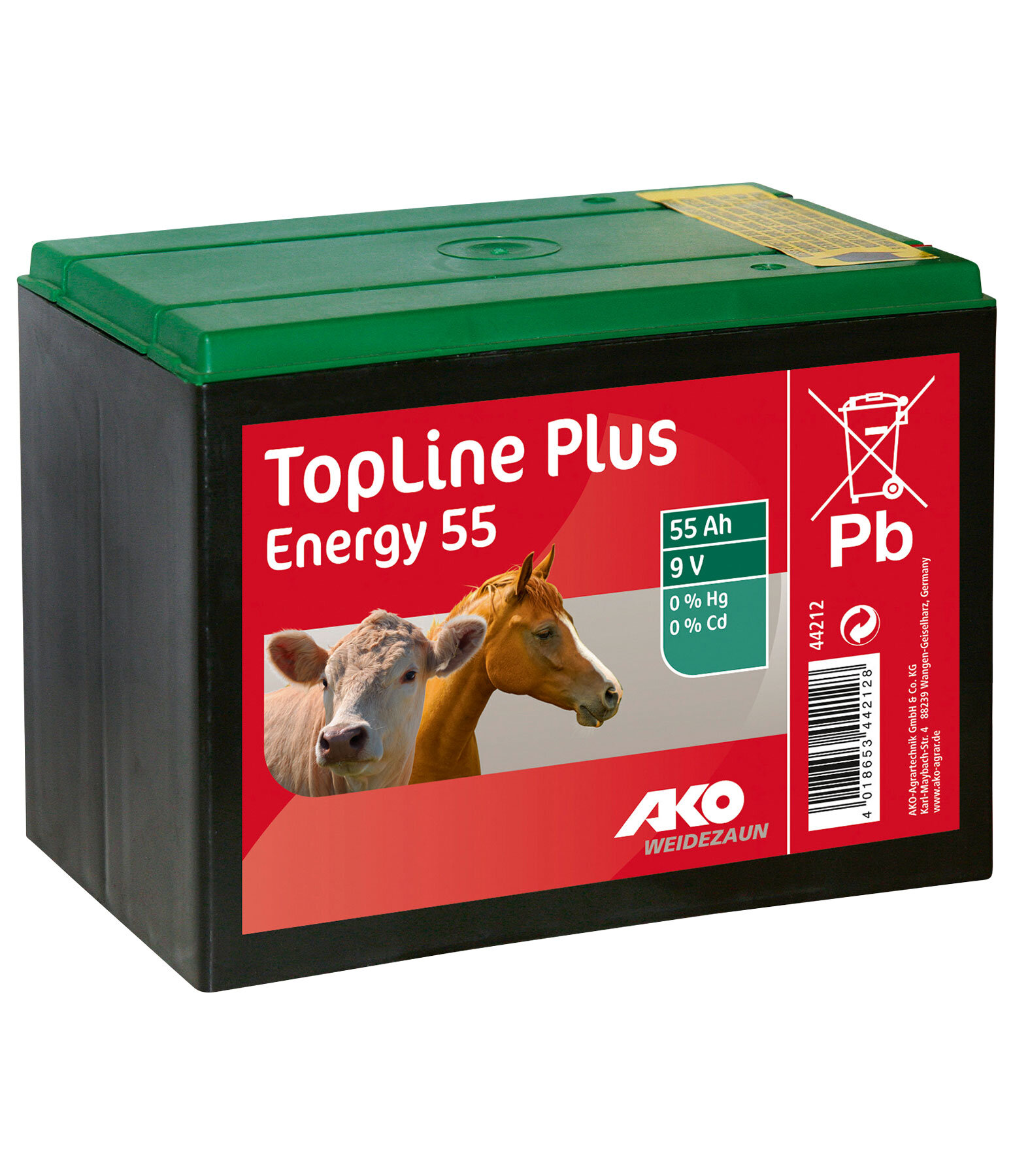 Batteria TopLine Plus Energy 9 V 55 Ah