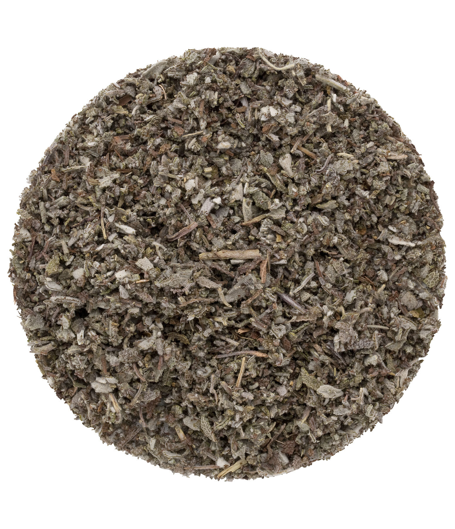 Salvia