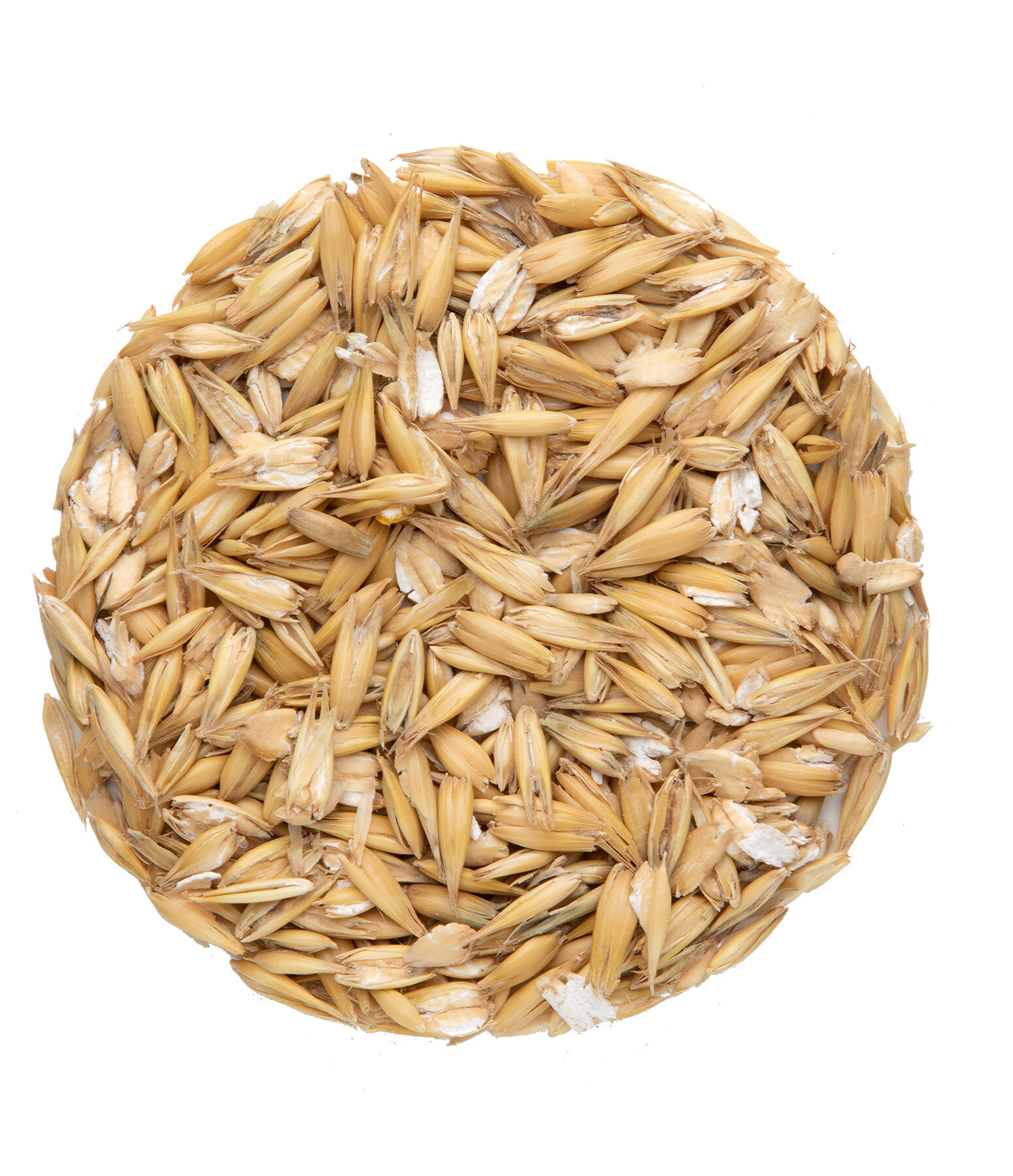 BASIC Avena laminata
