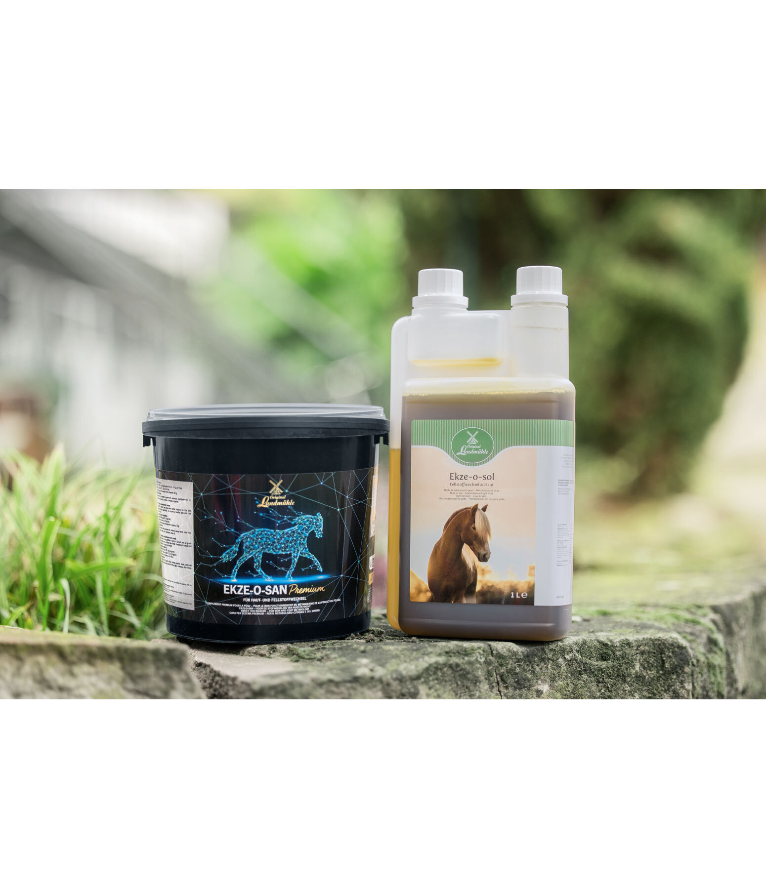 Cura per eczema premium