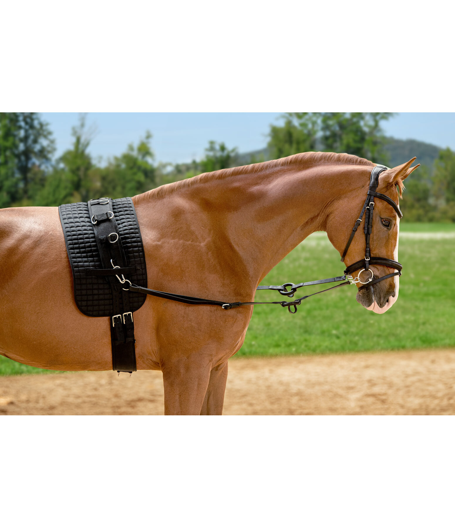 Redini fisse in cuoio con anello in gomma