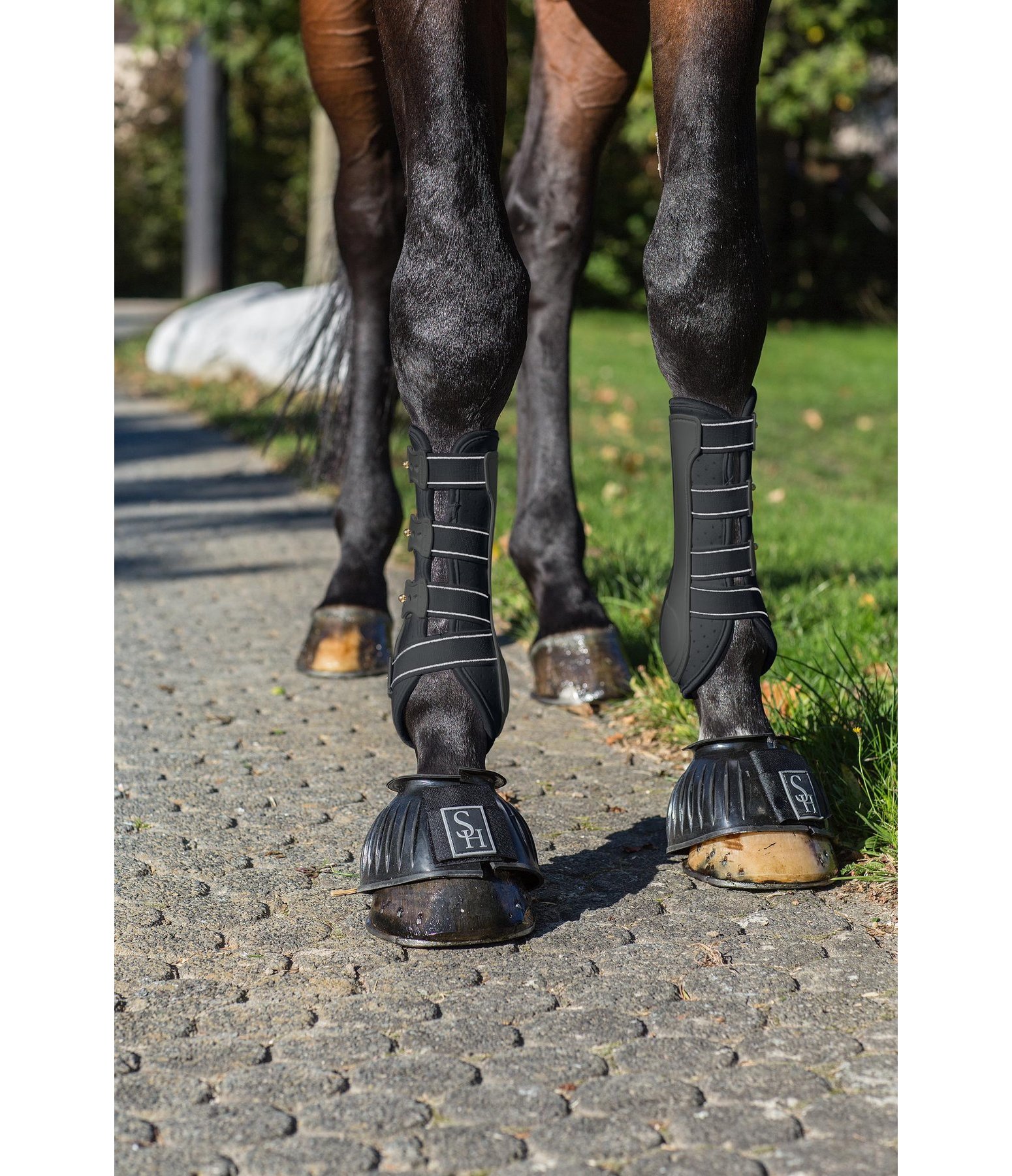 Stinchiere da dressage Perfect Protection, anteriori