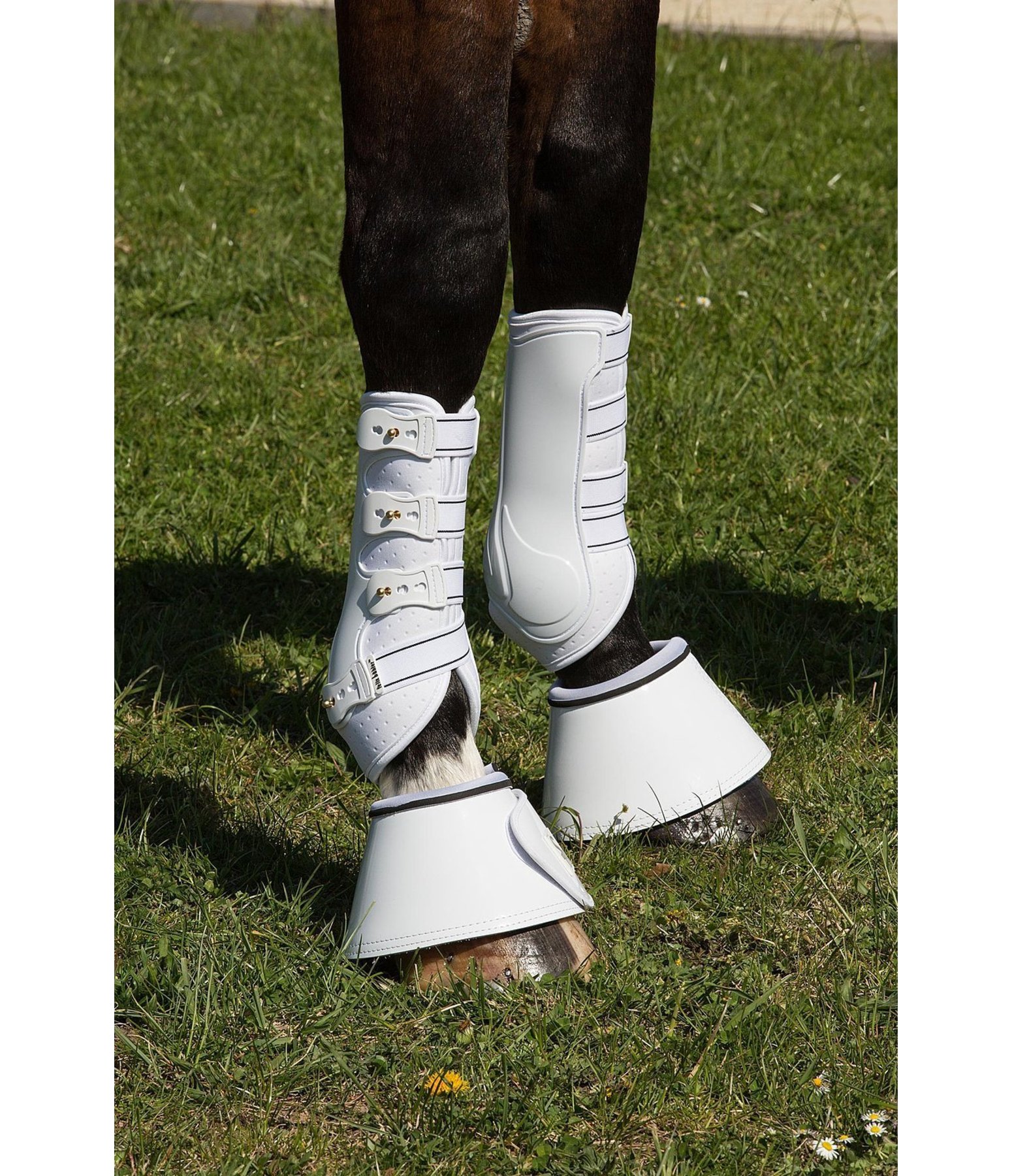 Stinchiere da dressage Perfect Protection, anteriori