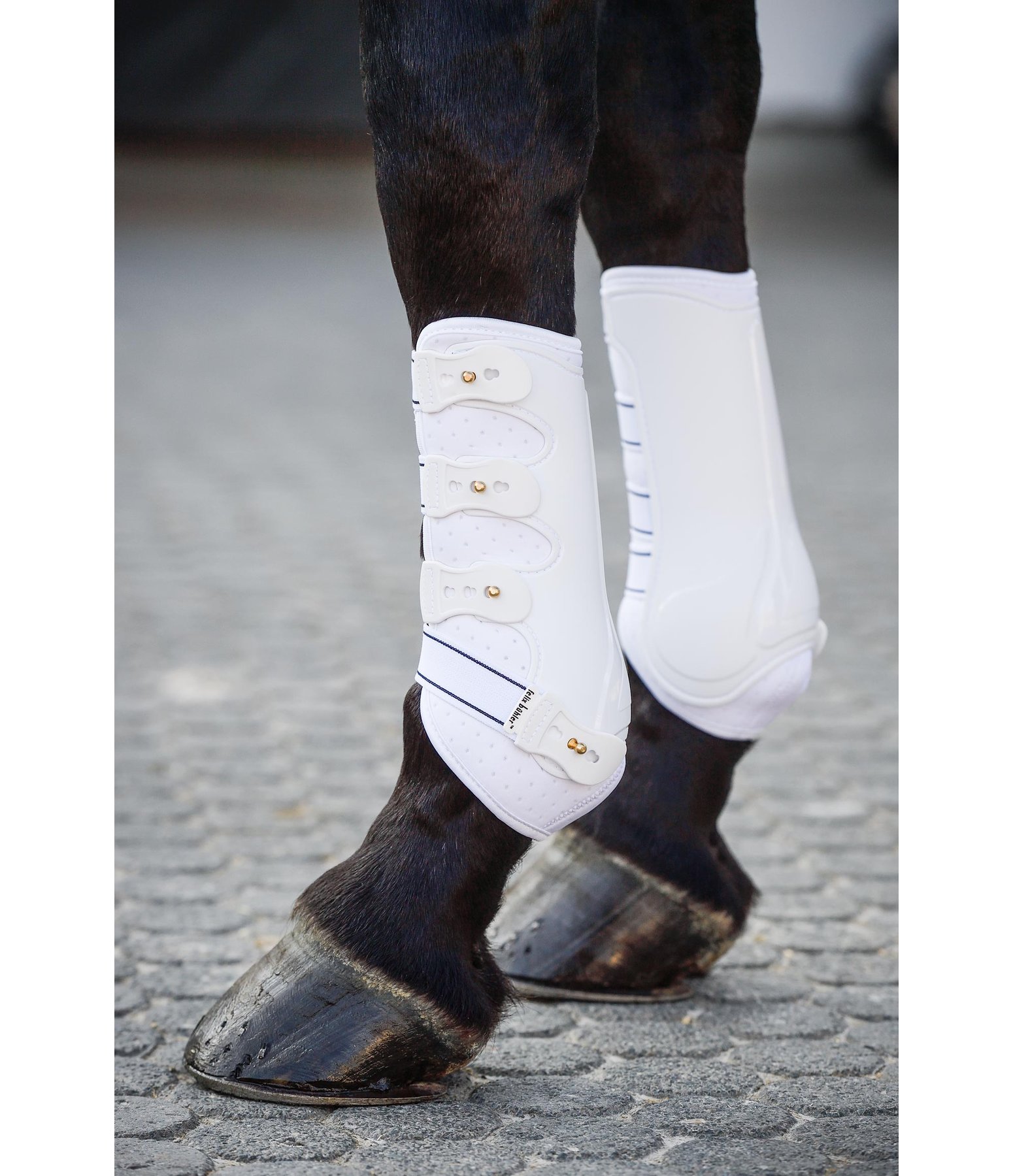 Stinchiere da dressage Perfect Protection, anteriori