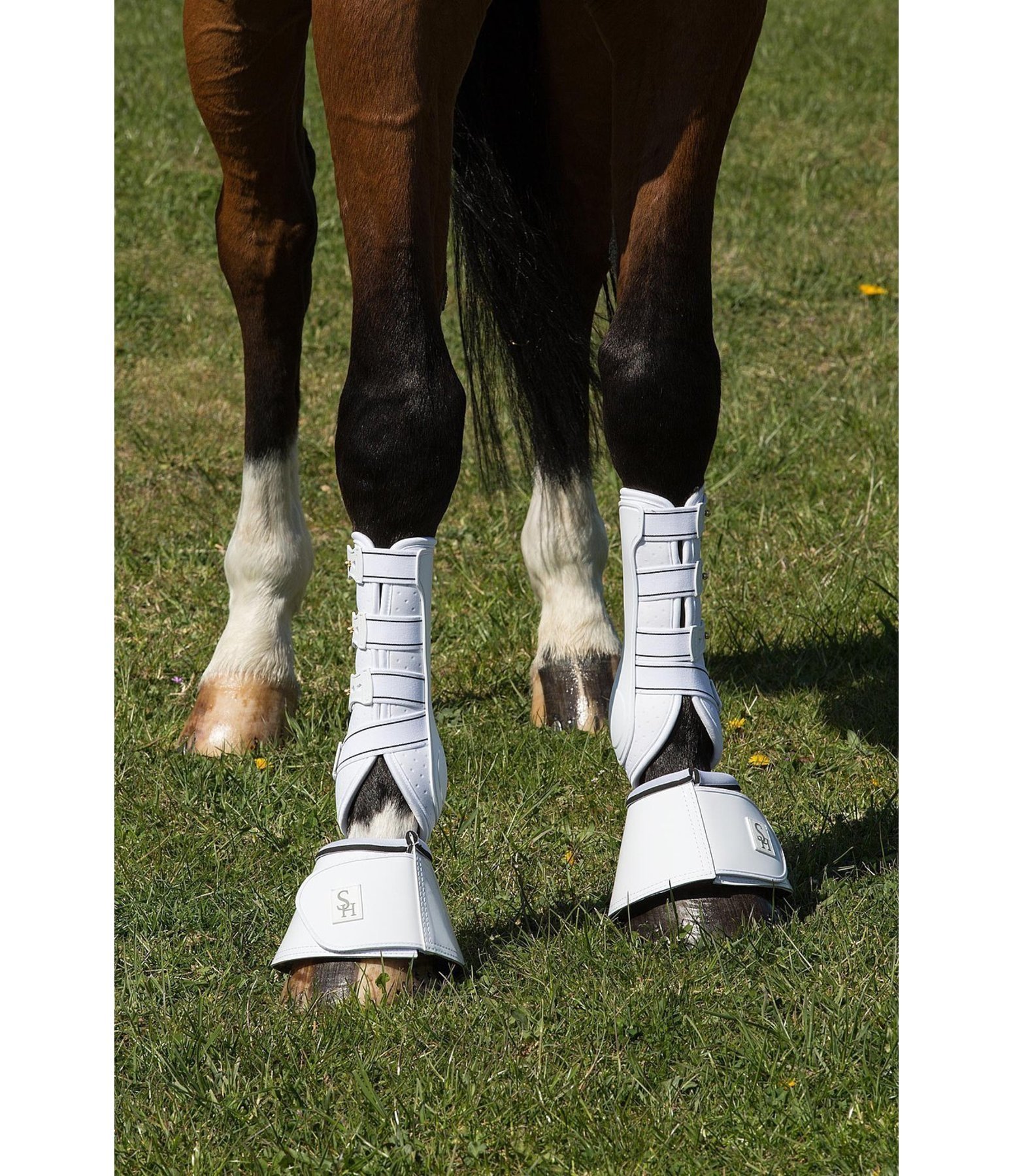 Stinchiere da dressage Perfect Protection, anteriori
