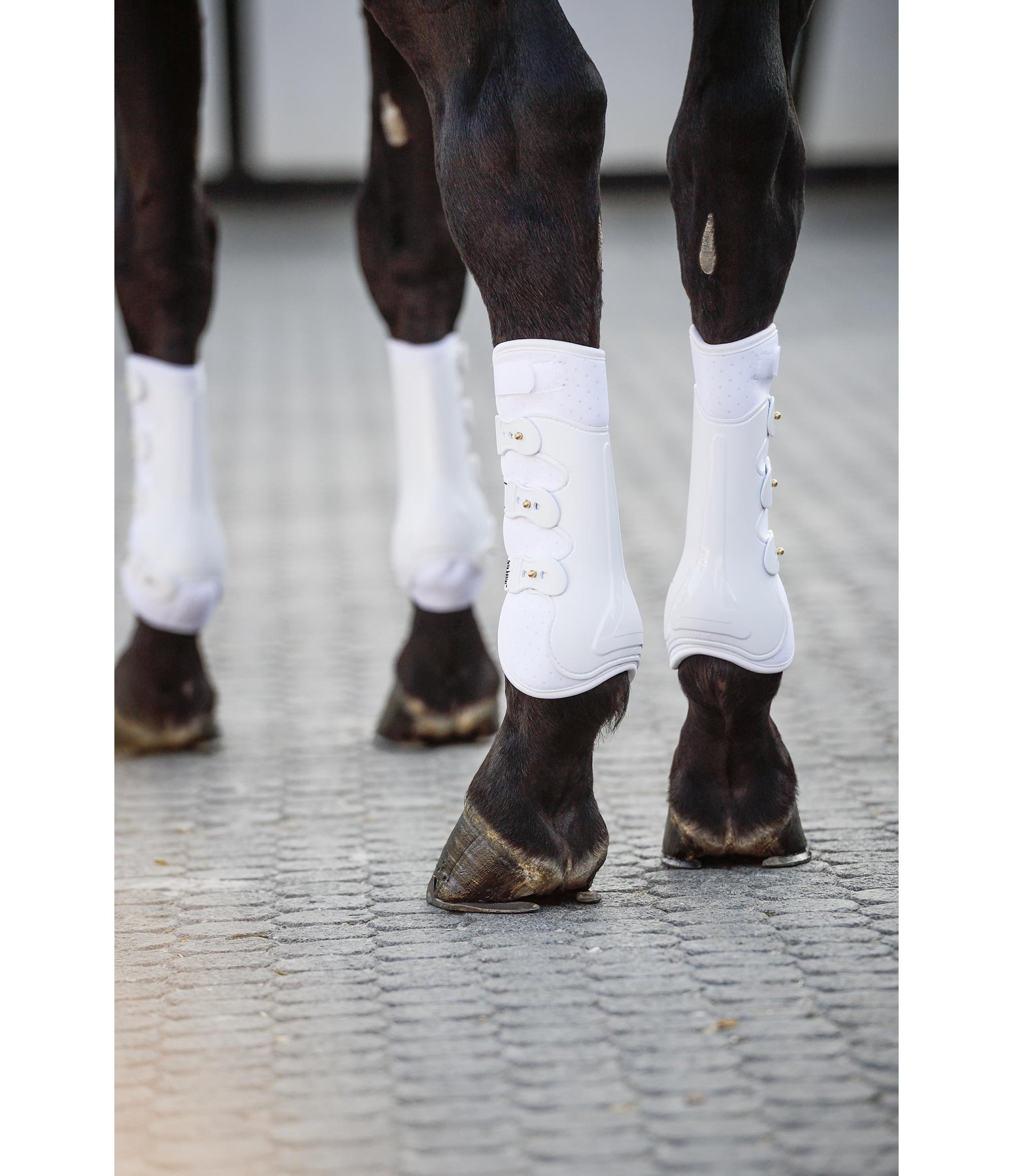 Stinchiere da dressage Perfect Protection, posteriori