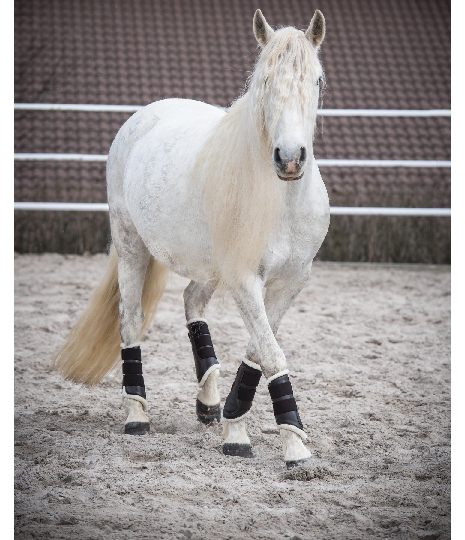 Stinchiere da dressage con pelliccia sintetica, anteriori