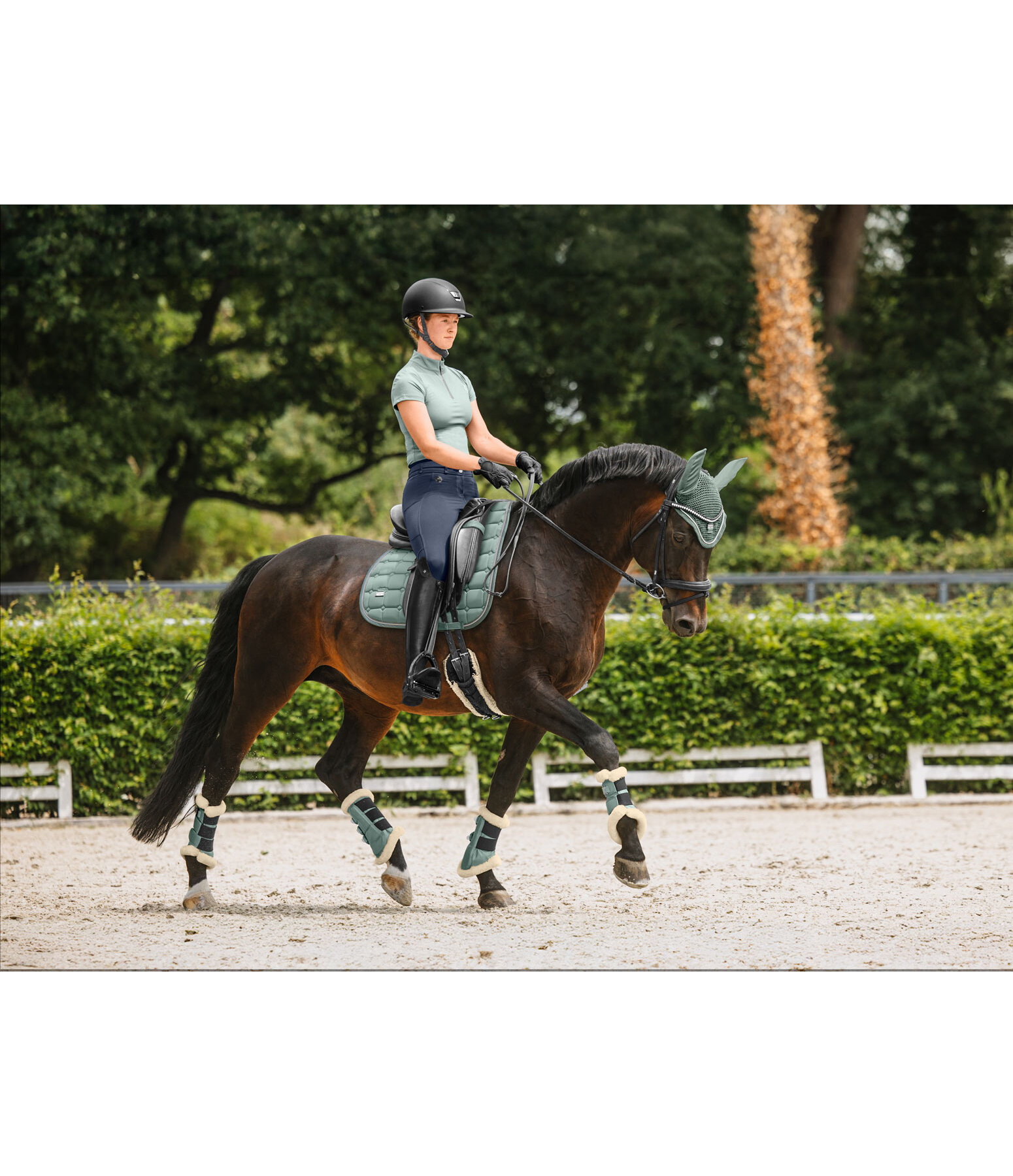 Stinchiere da dressage con pelliccia sintetica Essential, anteriori