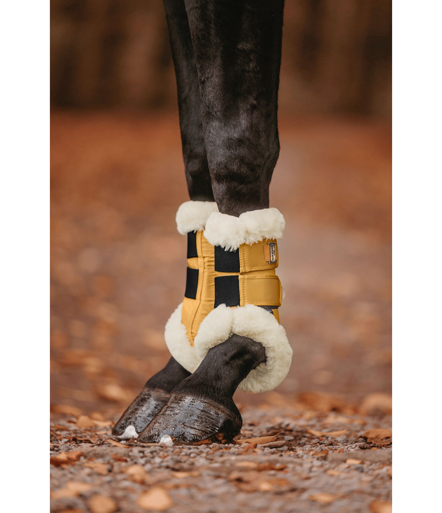 Stinchiere da dressage con pelliccia sintetica Essential, anteriori