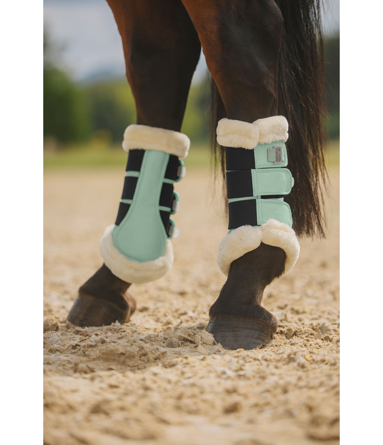 Stinchiere da dressage con pelliccia sintetica Essential, posteriori