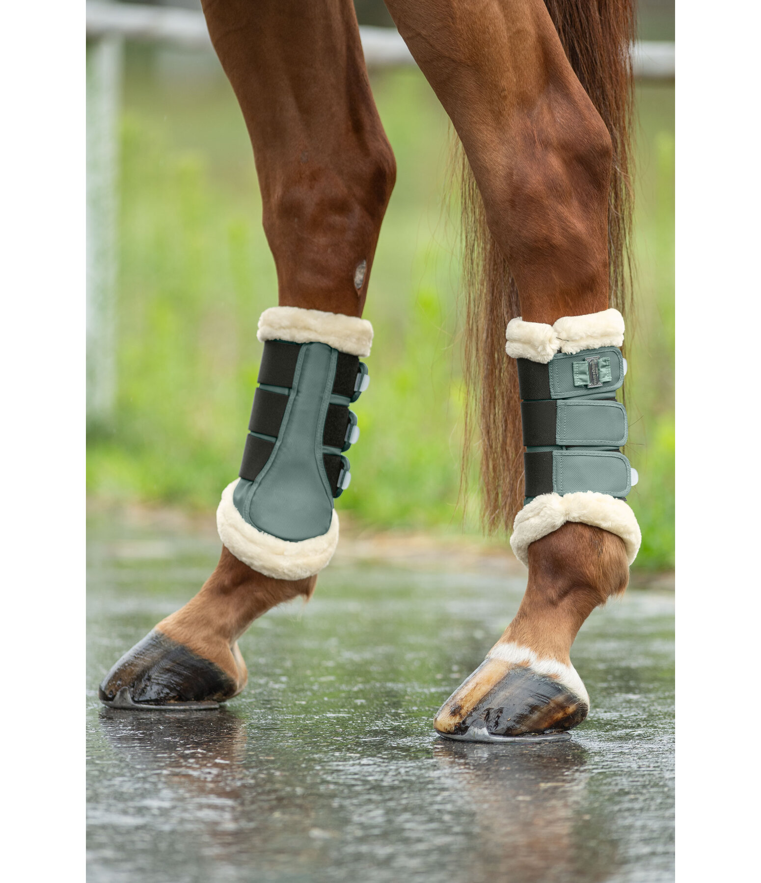 Stinchiere da dressage con pelliccia sintetica Essential, posteriori