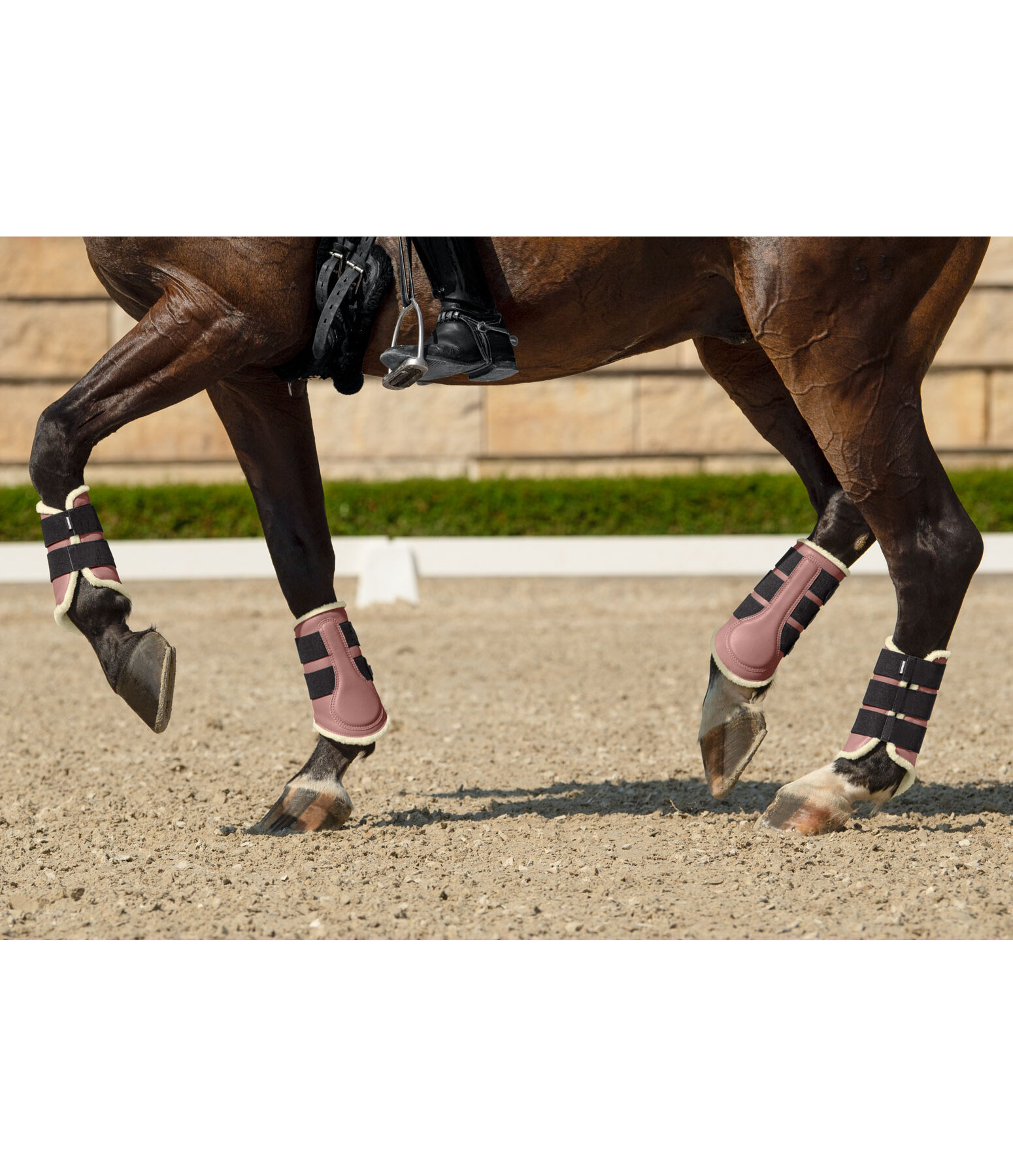 Stinchiere dressage con pelliccia sintetica Sparkling Moment, posteriori