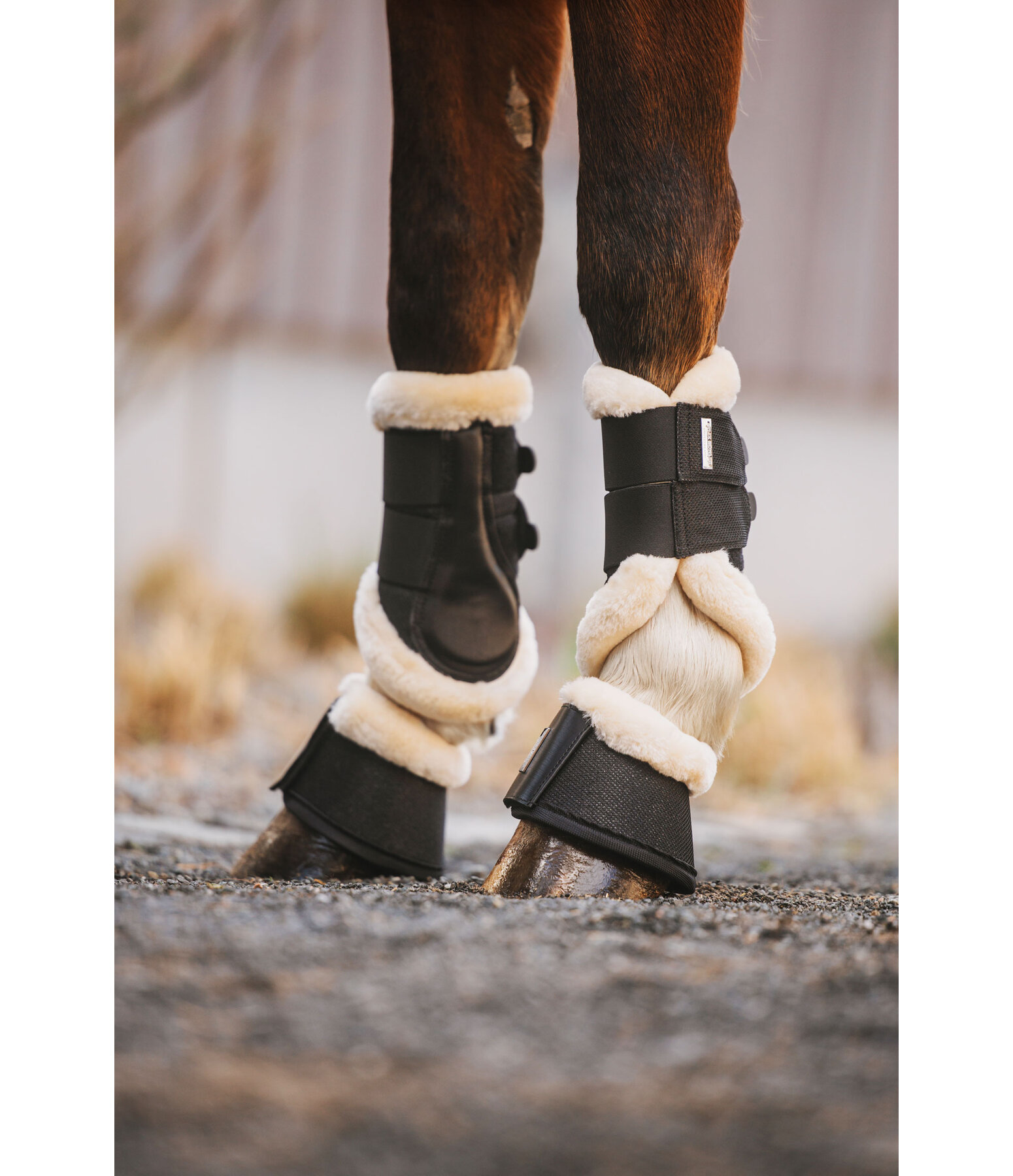 Stinchiere da dressage con pelliccia sintetica Sparkle, anteriori