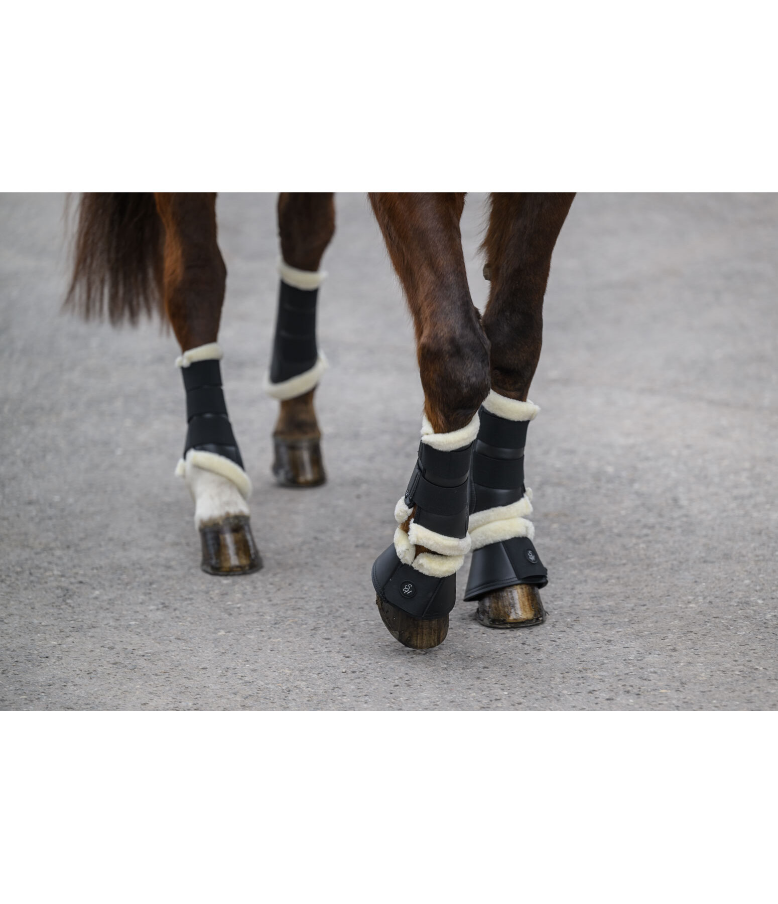 Stinchiere da dressage con pelliccia sintetica Classic, anteriori