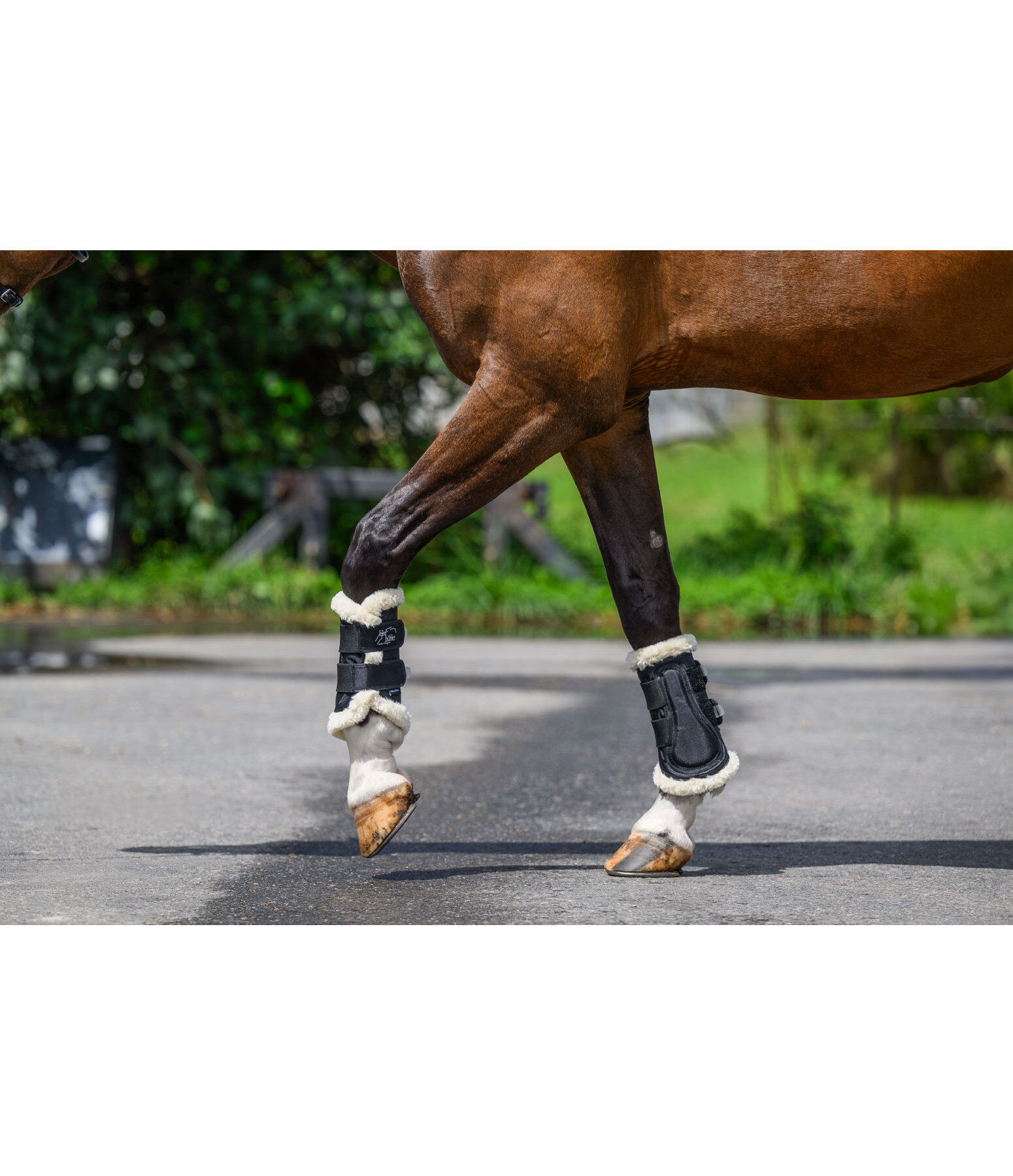 Stinchiere da dressage Air, anteriori