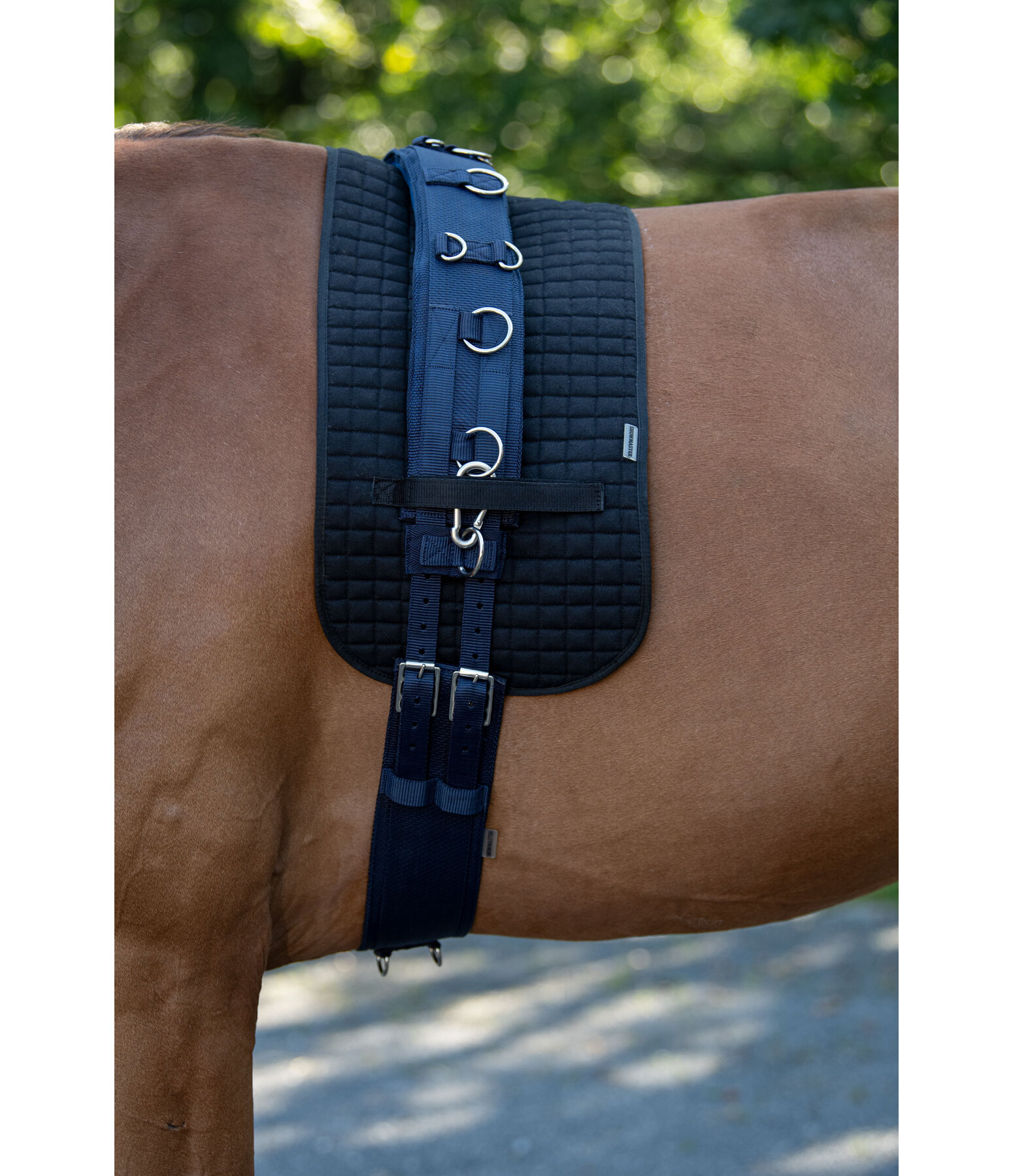 Fascione da doma Comfort