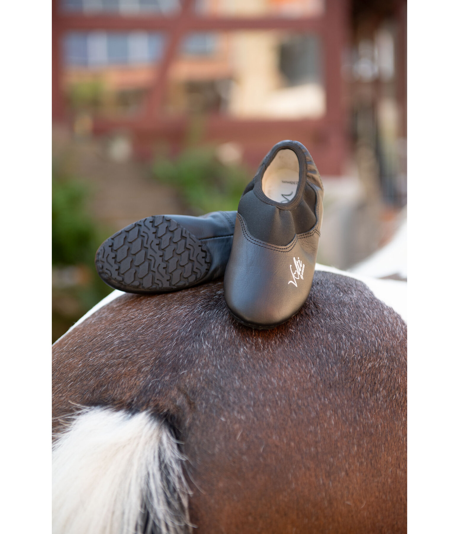 Scarpe da volteggio Expert