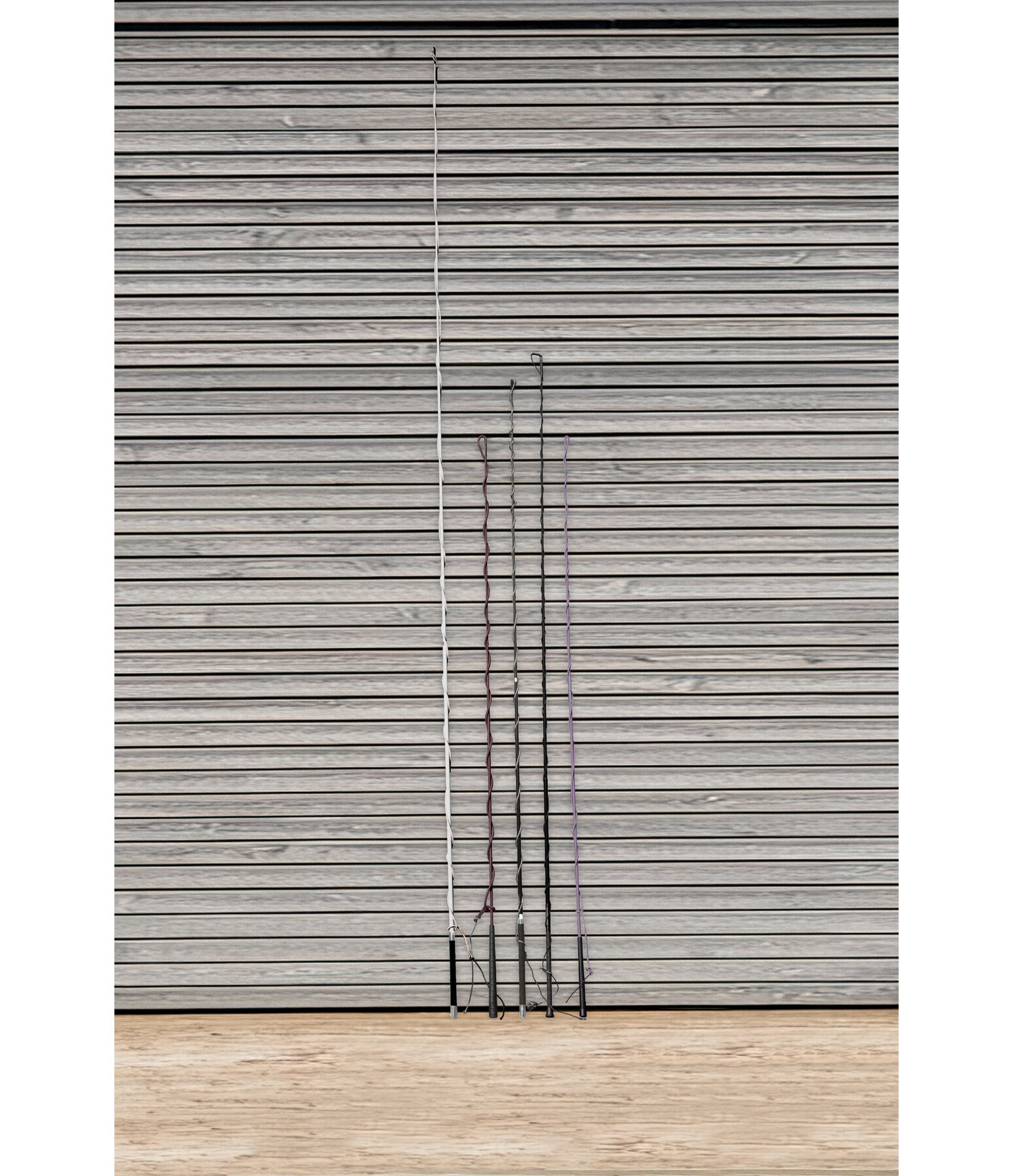 Frusta da addestramento telescopica Ultralight