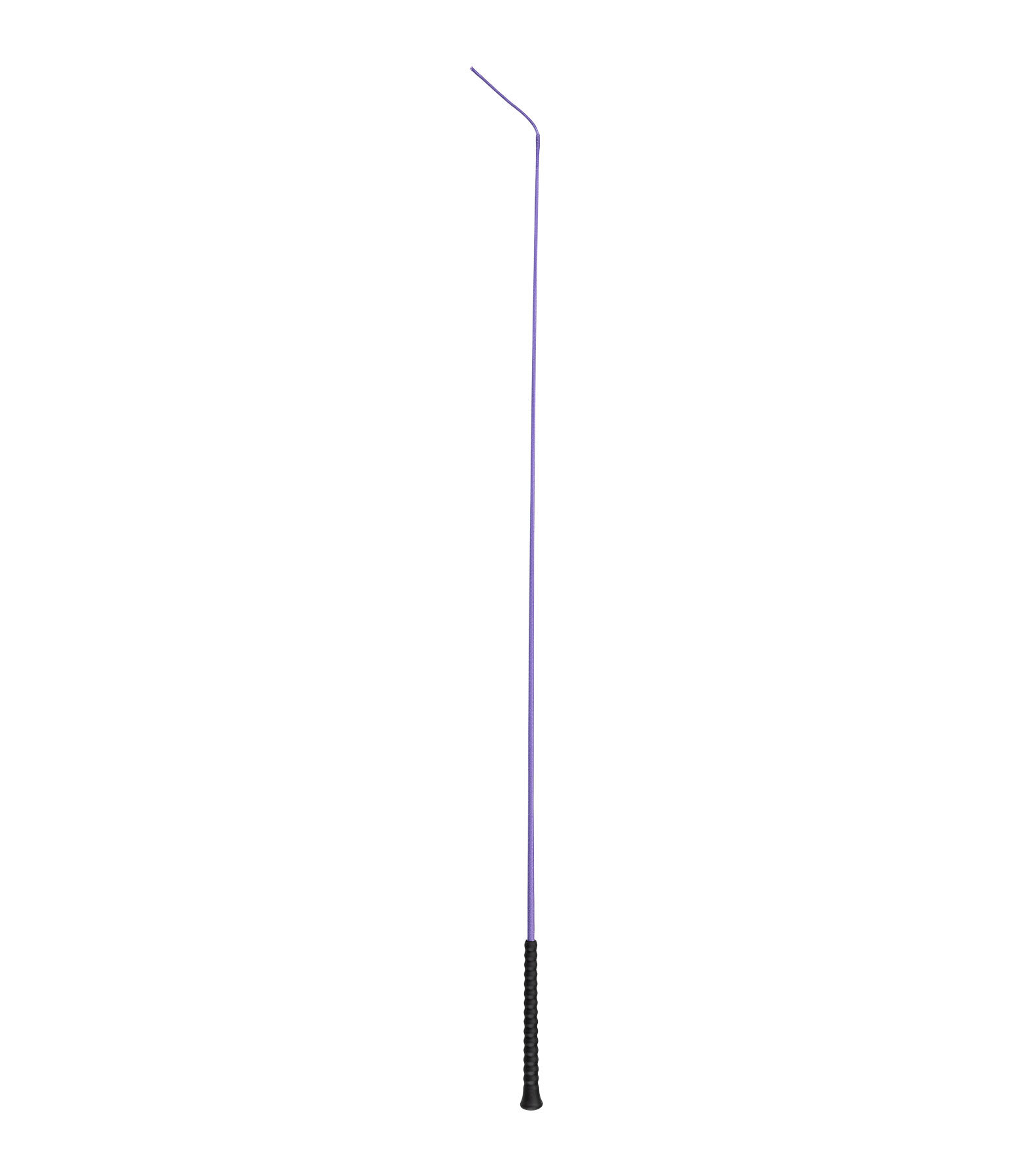 Frustino dressage Ergo