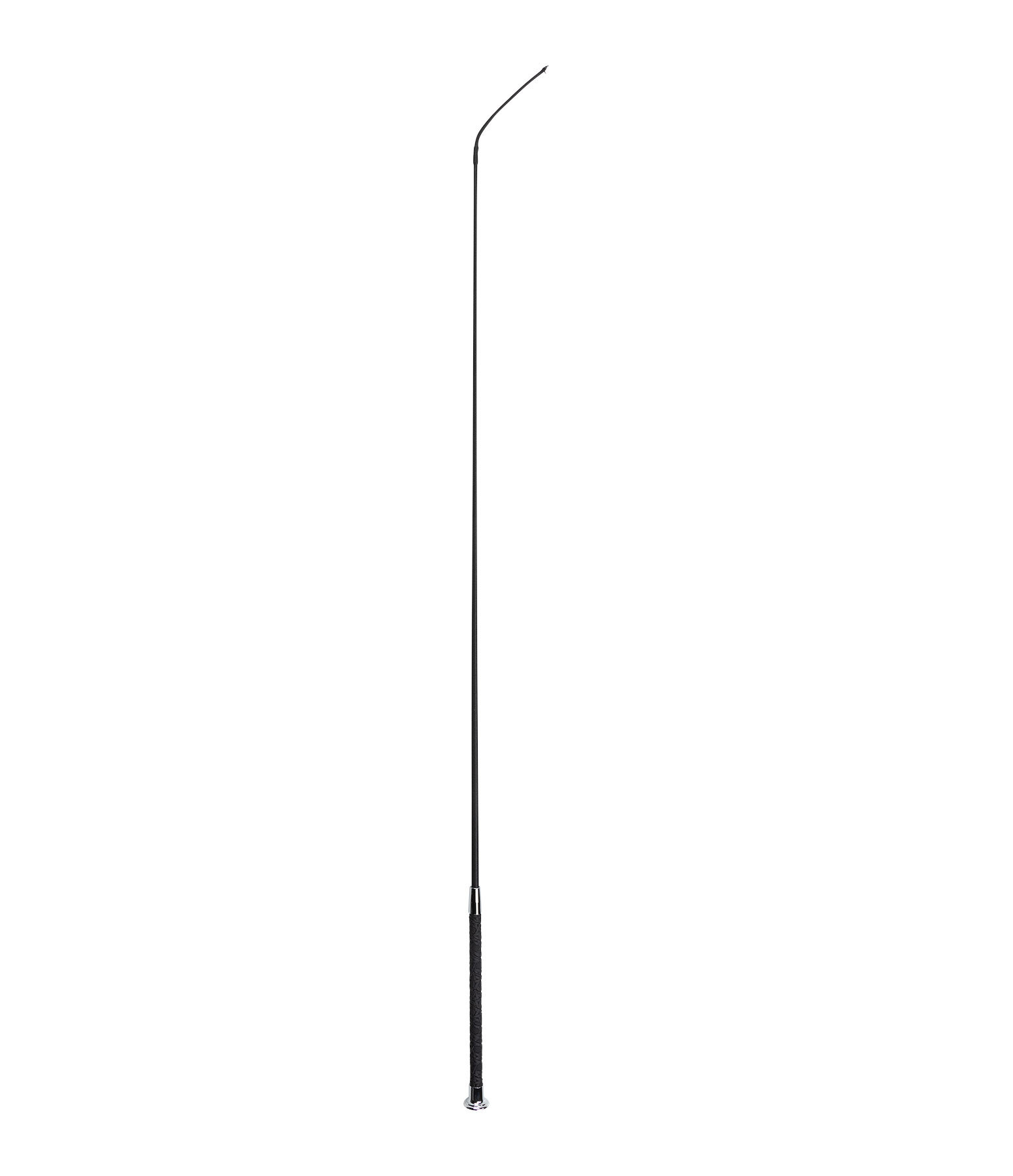 Frustino dressage Lace