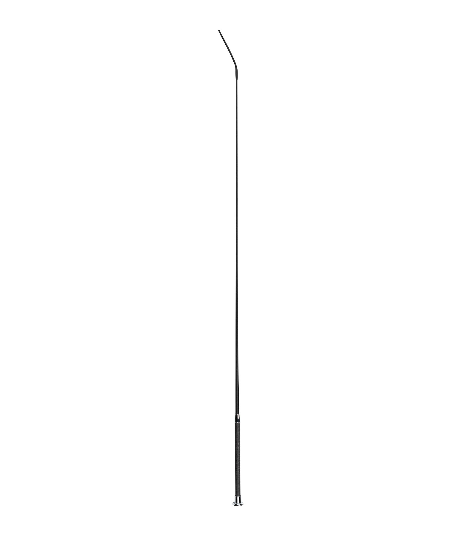 Frustino dressage Sparkle