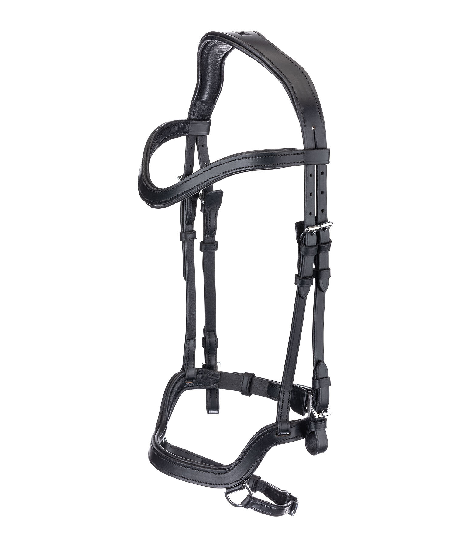 Testiera anatomica Linur