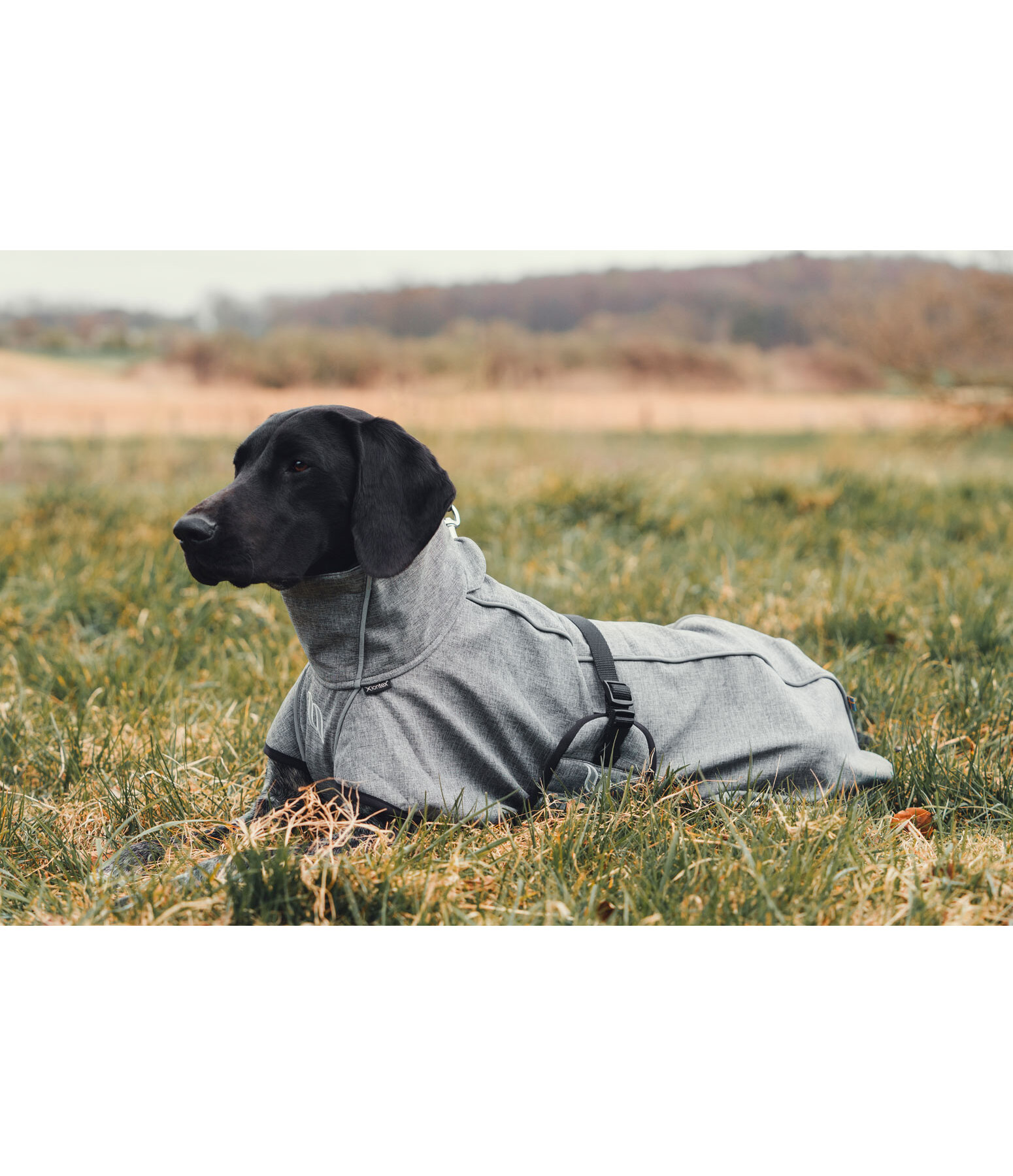 Cappotto All-Round per cani in softshell Bark, 0 g