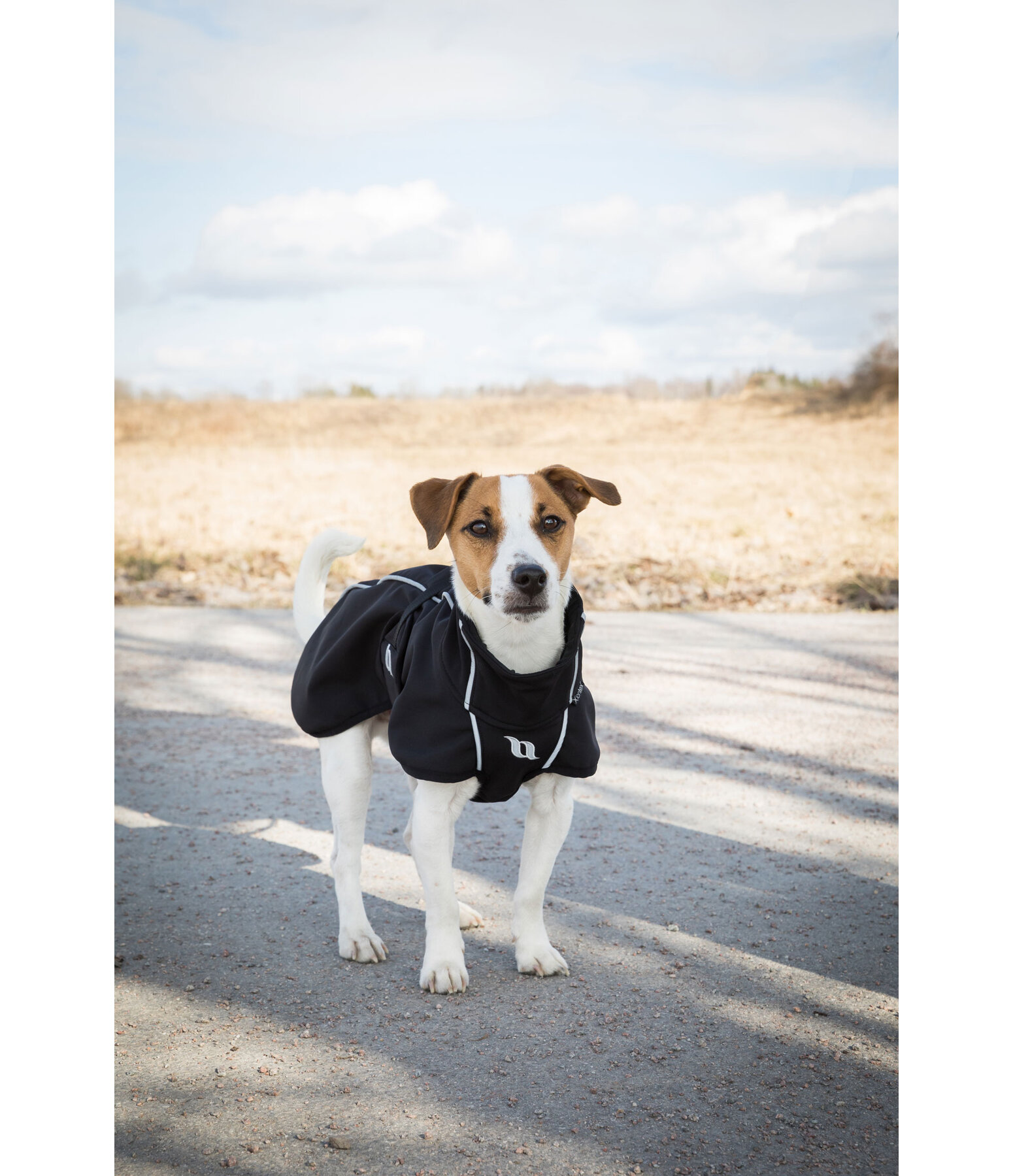 Cappotto All-Round per cani in softshell Bark, 0 g