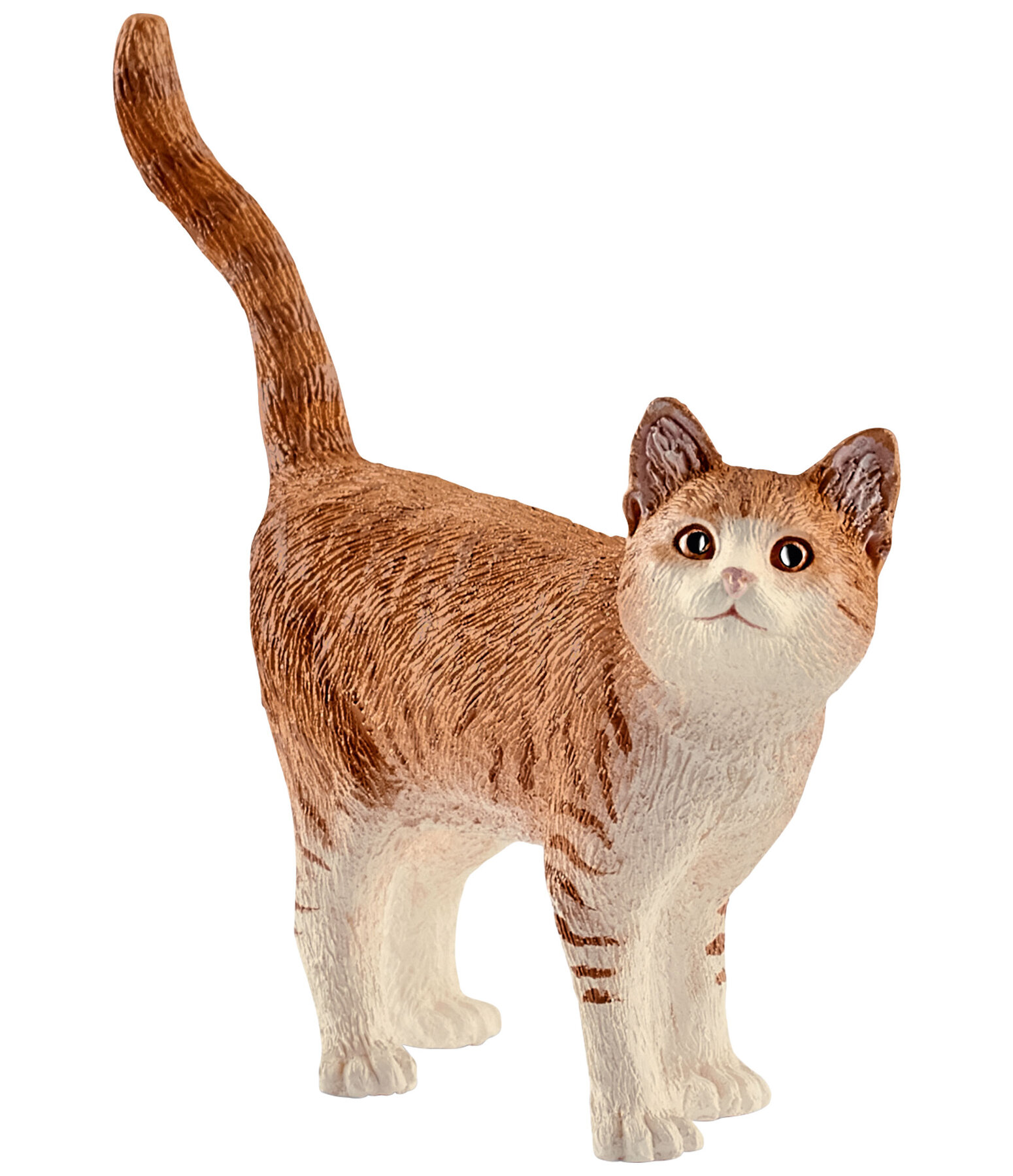 Farm World gatto