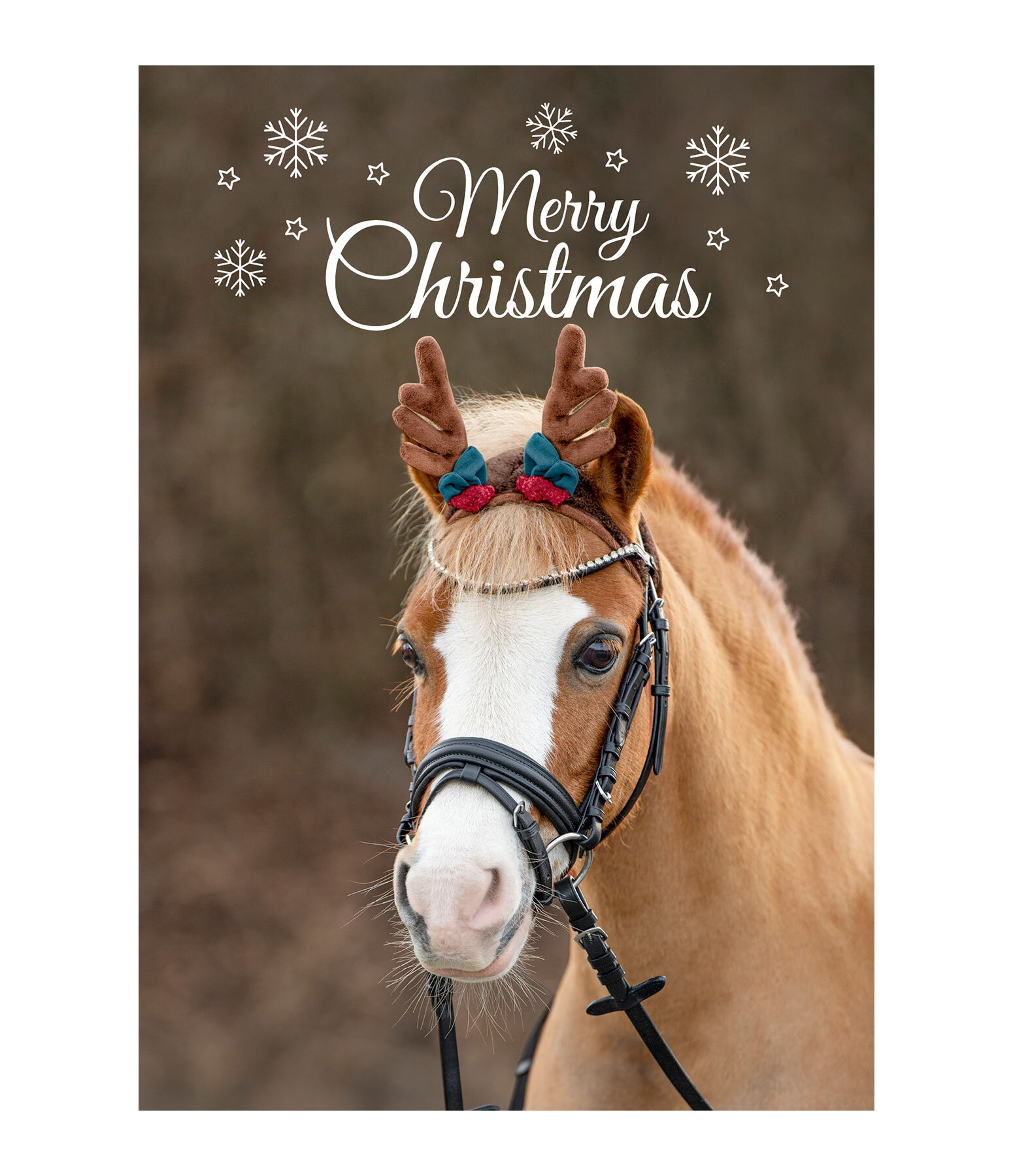 Cartolina Merry Christmas