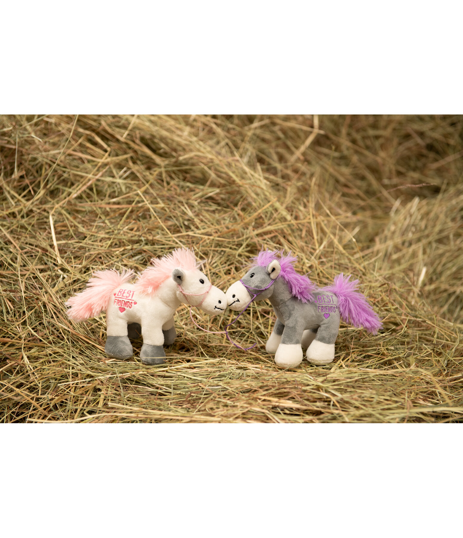 Horsly Best Friends