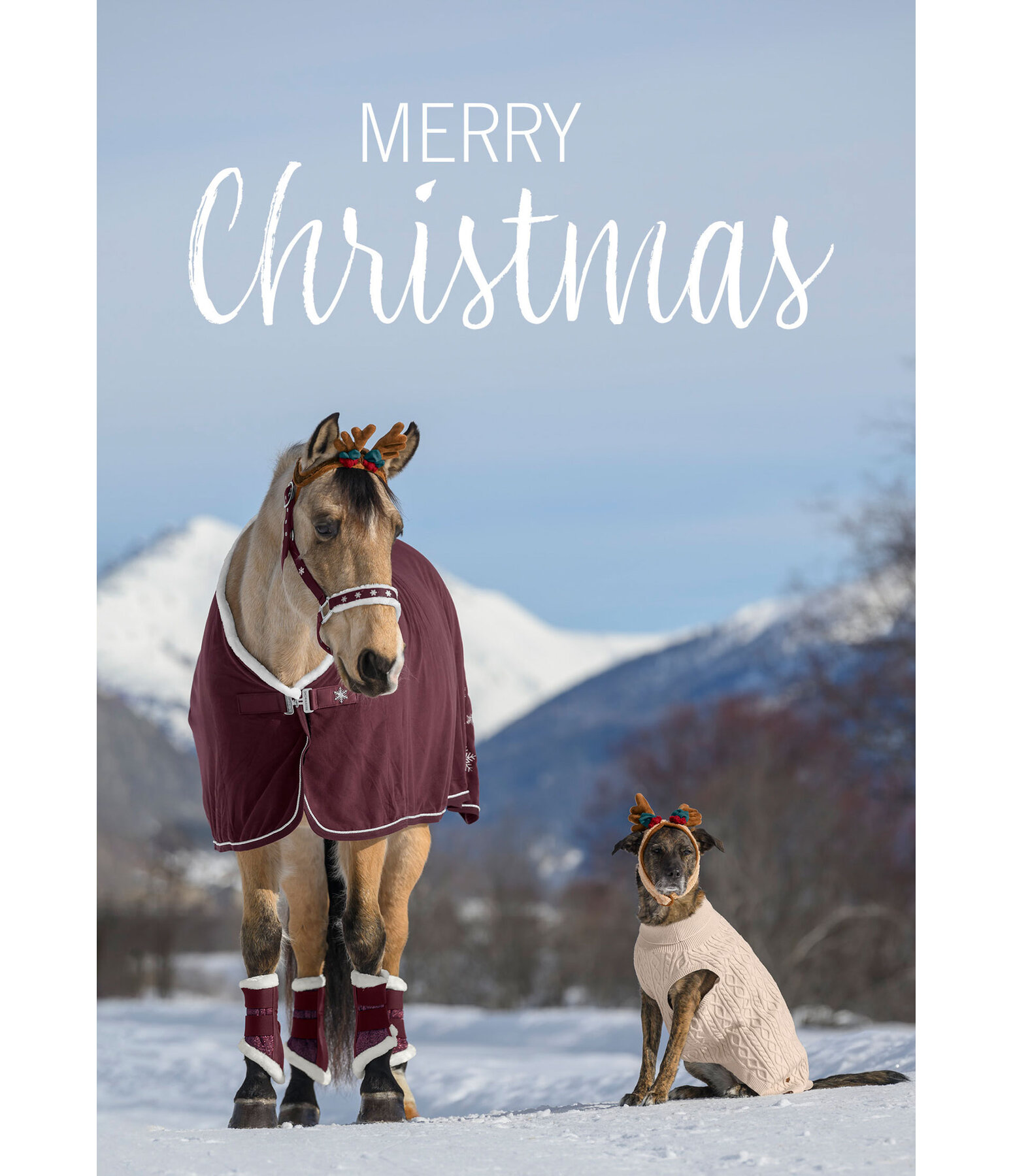 Cartolina Merry Christmas