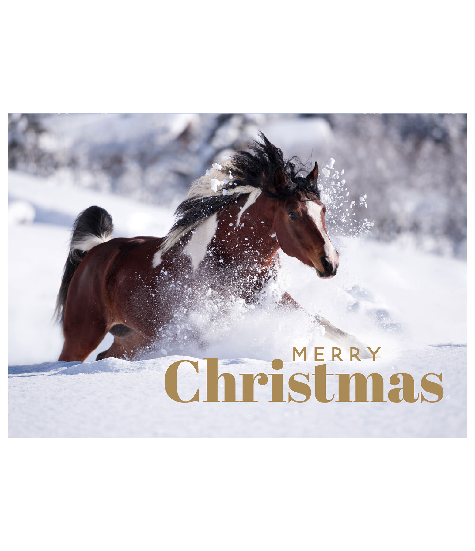 Cartolina Merry Christmas