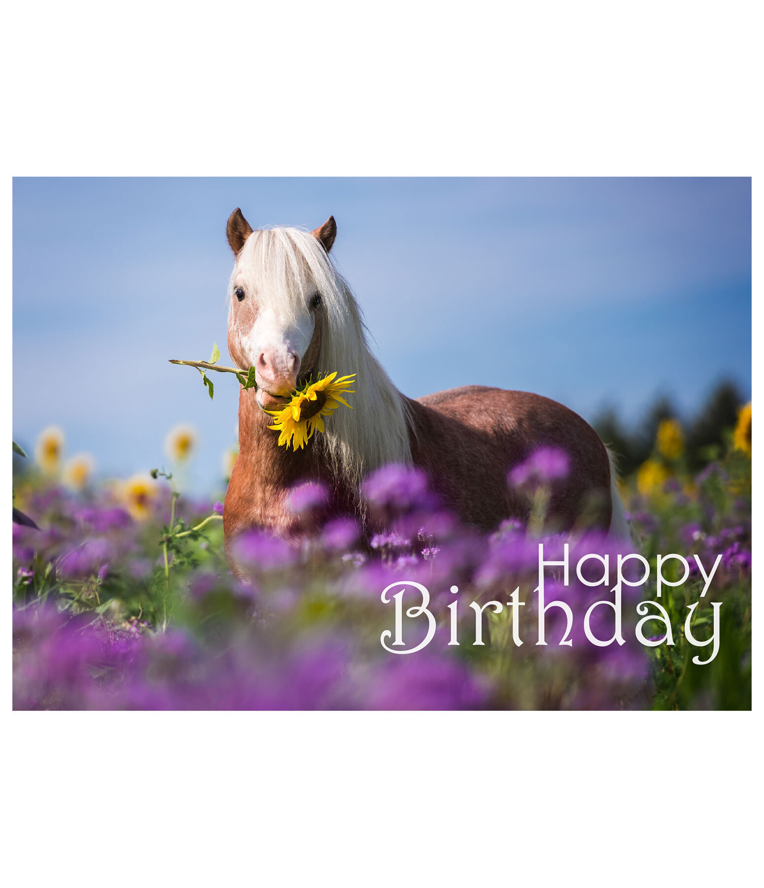 Cartolina Happy Birthday II