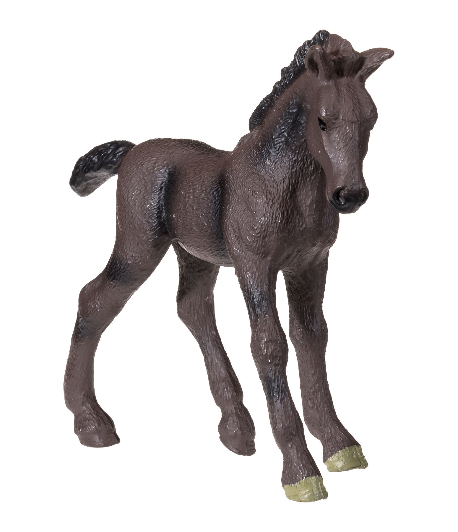 Play series Puledro cavallo arabo