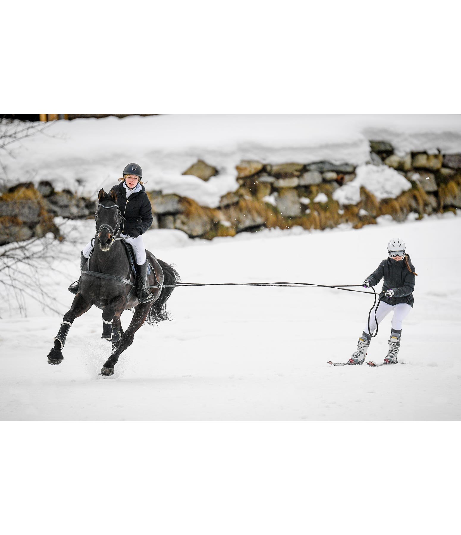 Fun set skijöring 4 stagioni