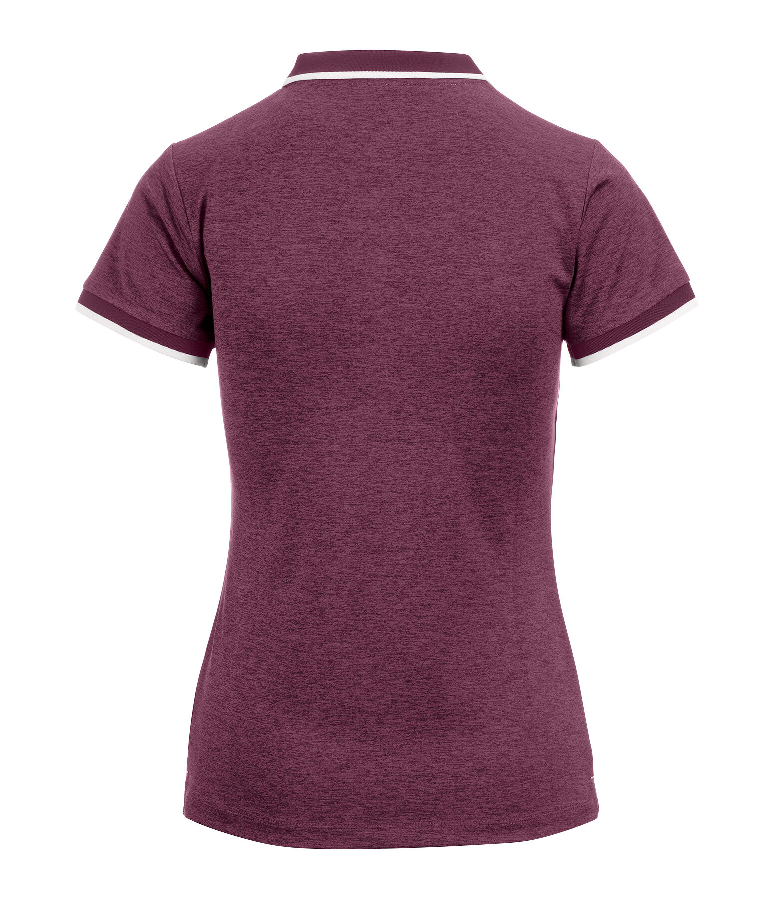 Polo funzionale Olivia