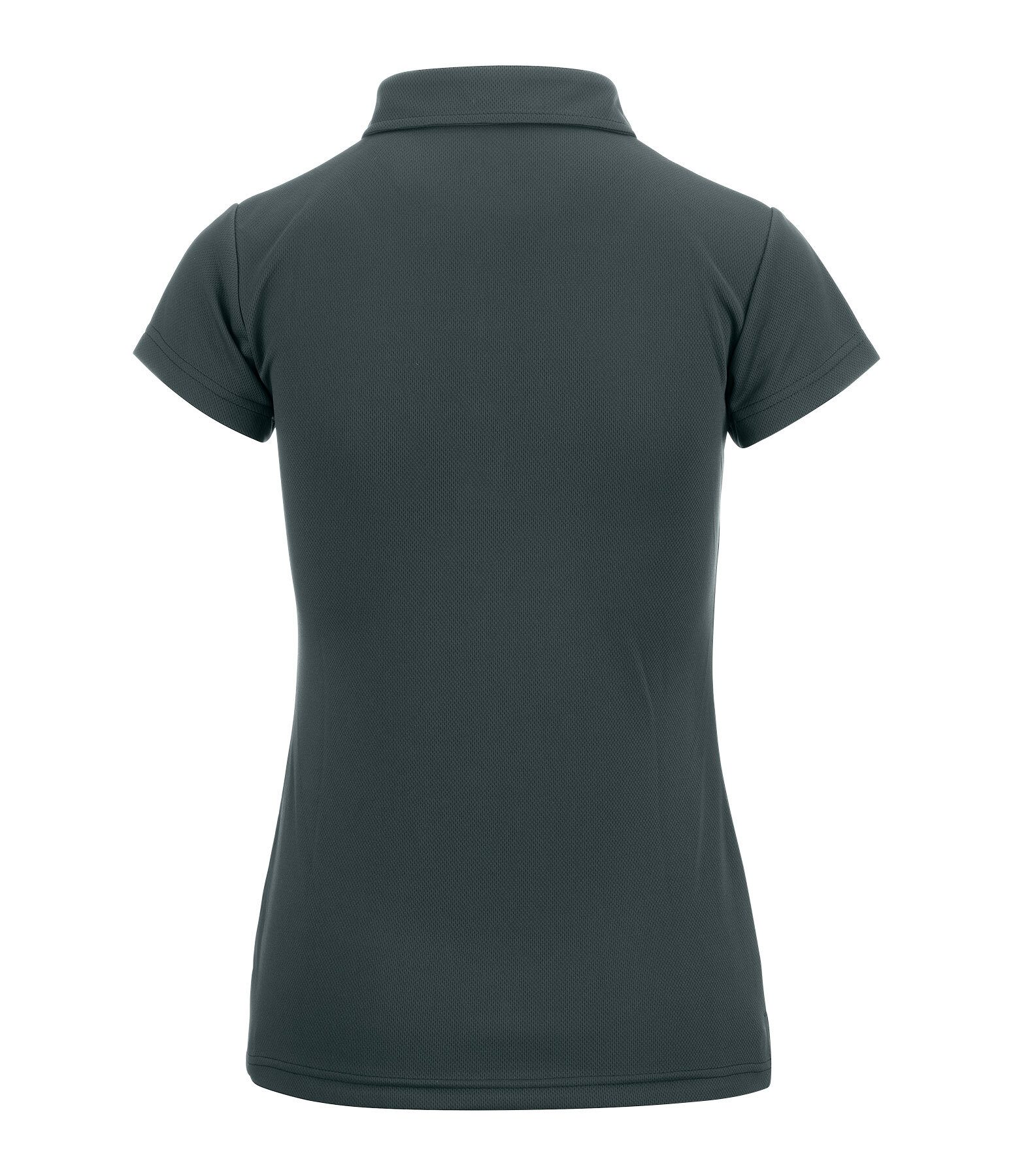 Polo funzionale Hanni