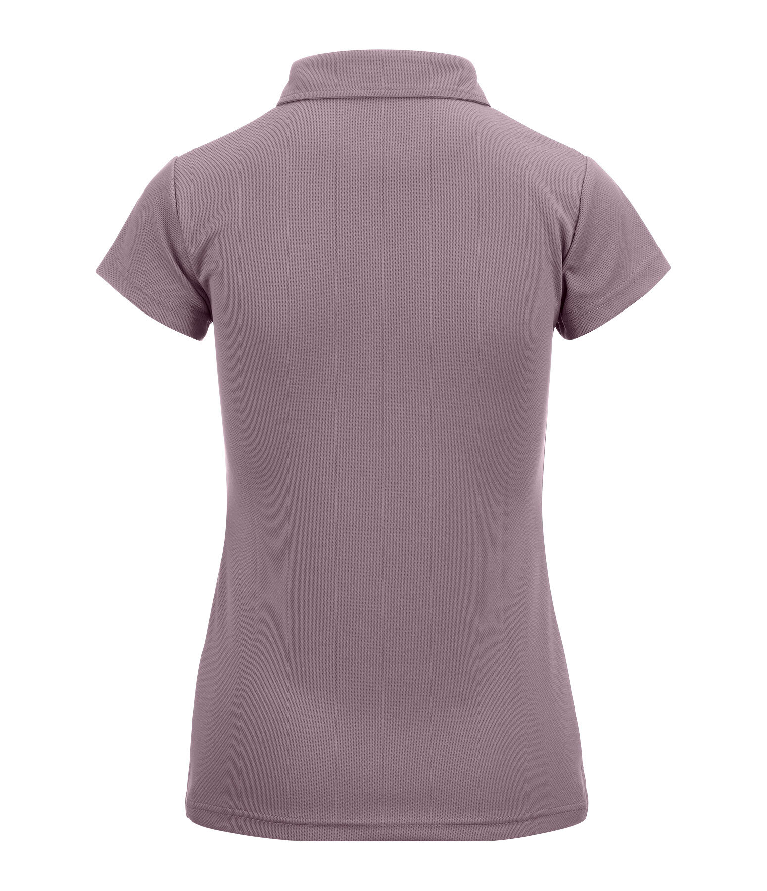 Polo funzionale Hanni