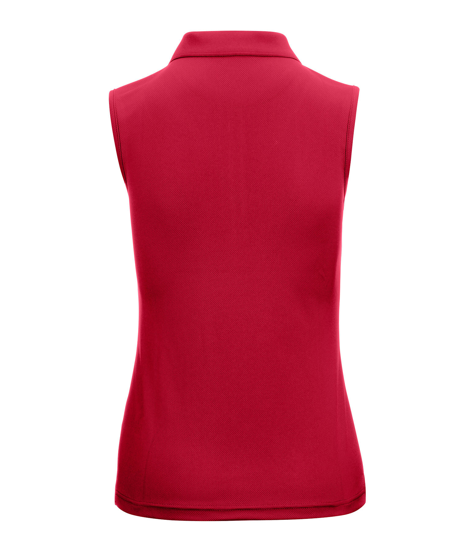 Polo funzionale Jess