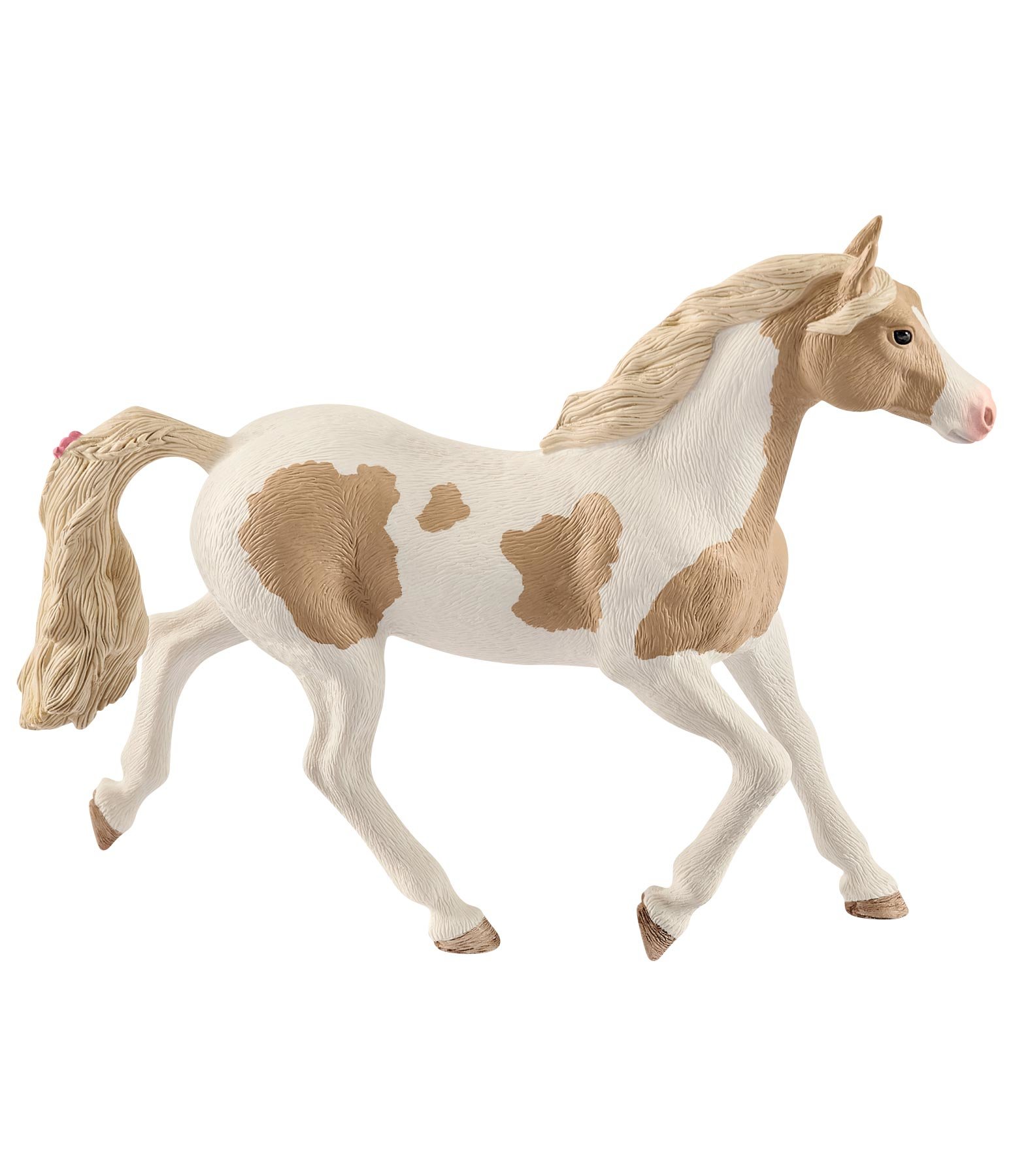 Cavalla Paint Horse
