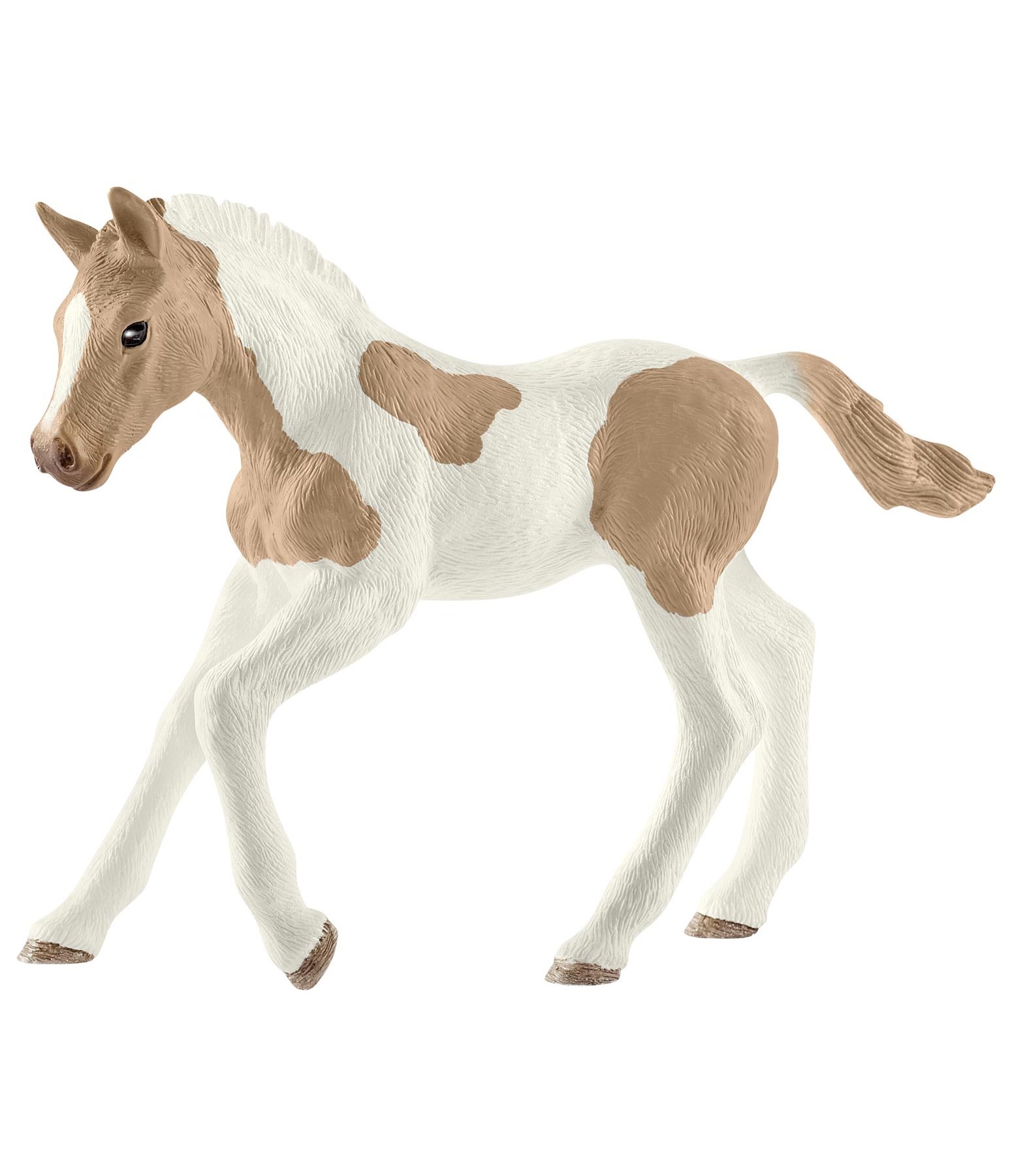Puledro Paint Horse