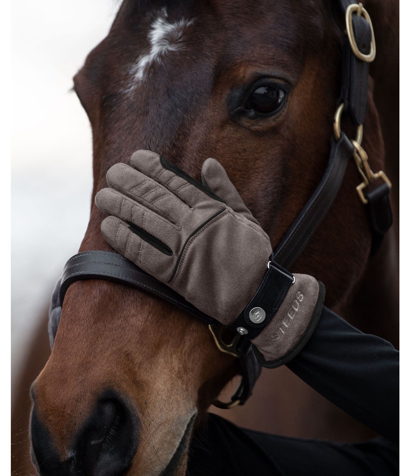 Guanti da equitazione invernali Luzern