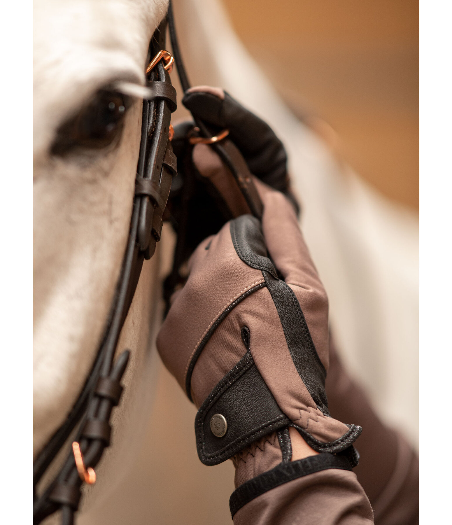 Guanti da equitazione invernali softshell