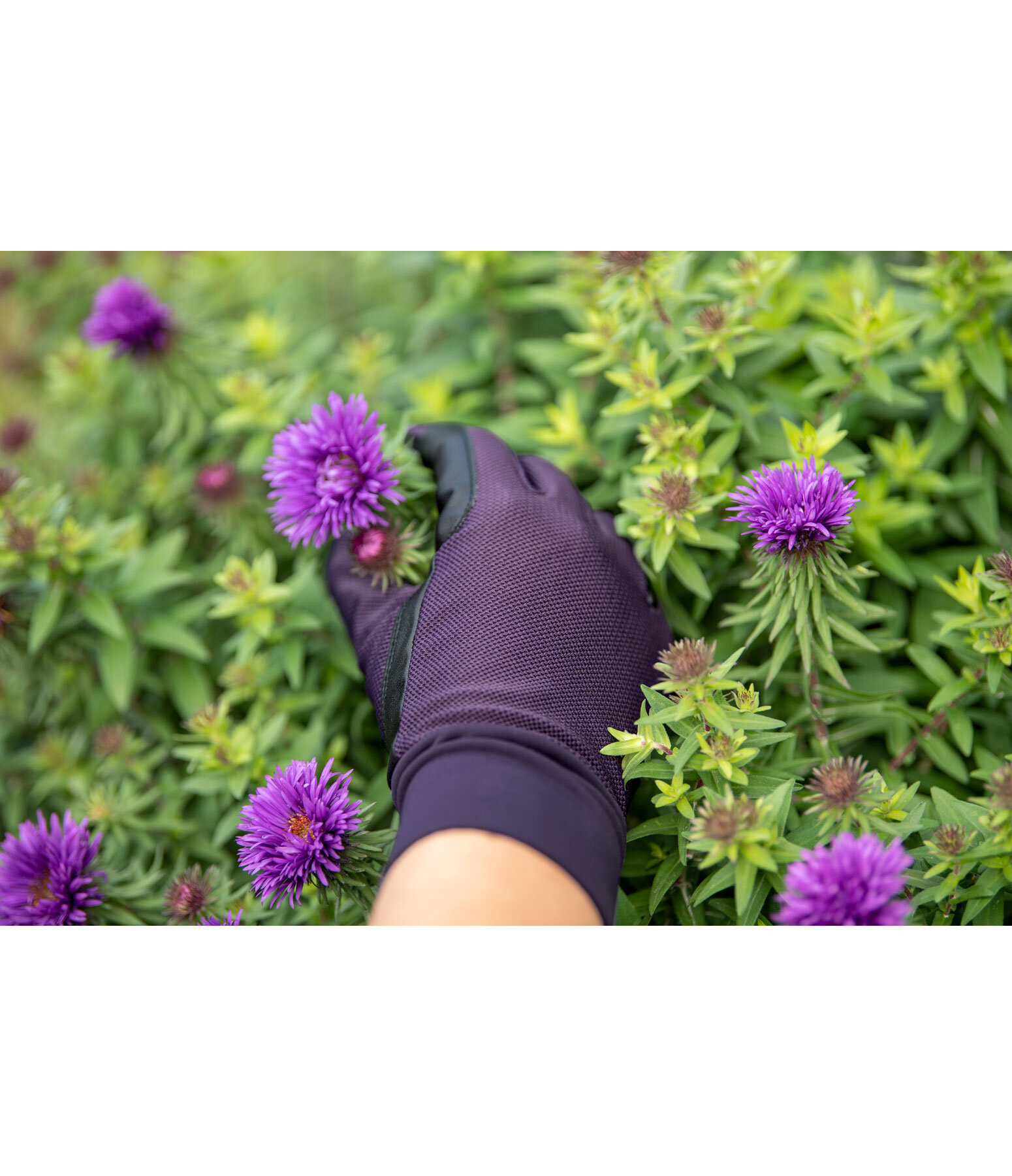 Guanti da equitazione All Season Joelene