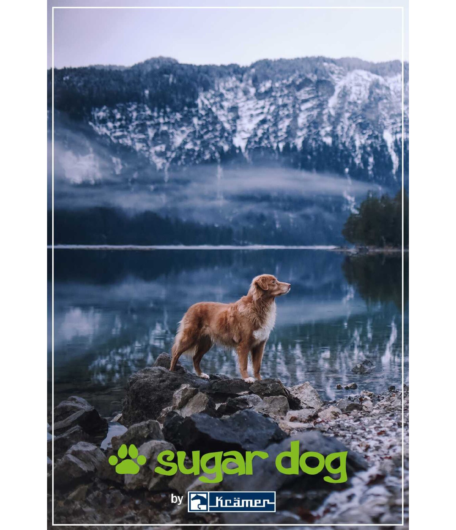  Buono regalo stampabile 