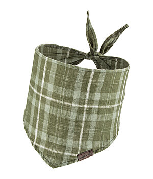 sugar dog Bandana Henry - 230957-S-DO