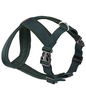 sugar dog Pettorina Piper - 231053-M-GT