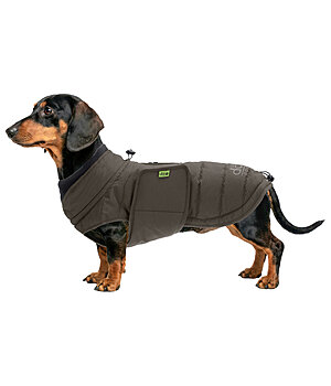 sugar dog Cappotto invernale per bassotti Henry, 200 g - 231311-S-DO