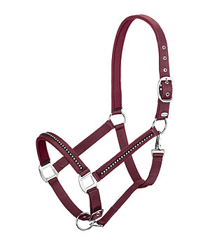SHOWMASTER Capezza Brilliant - 310031-F-VY